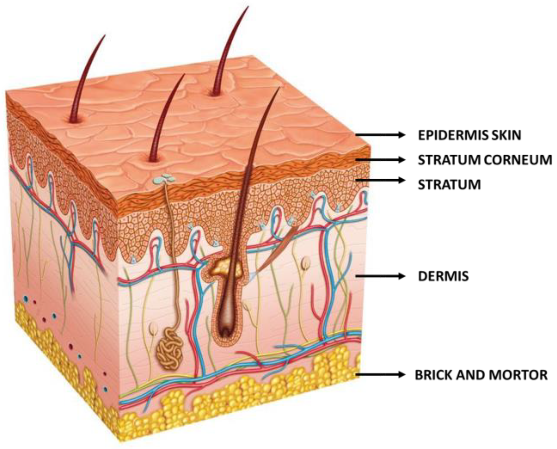 Processes 13 00907 g001