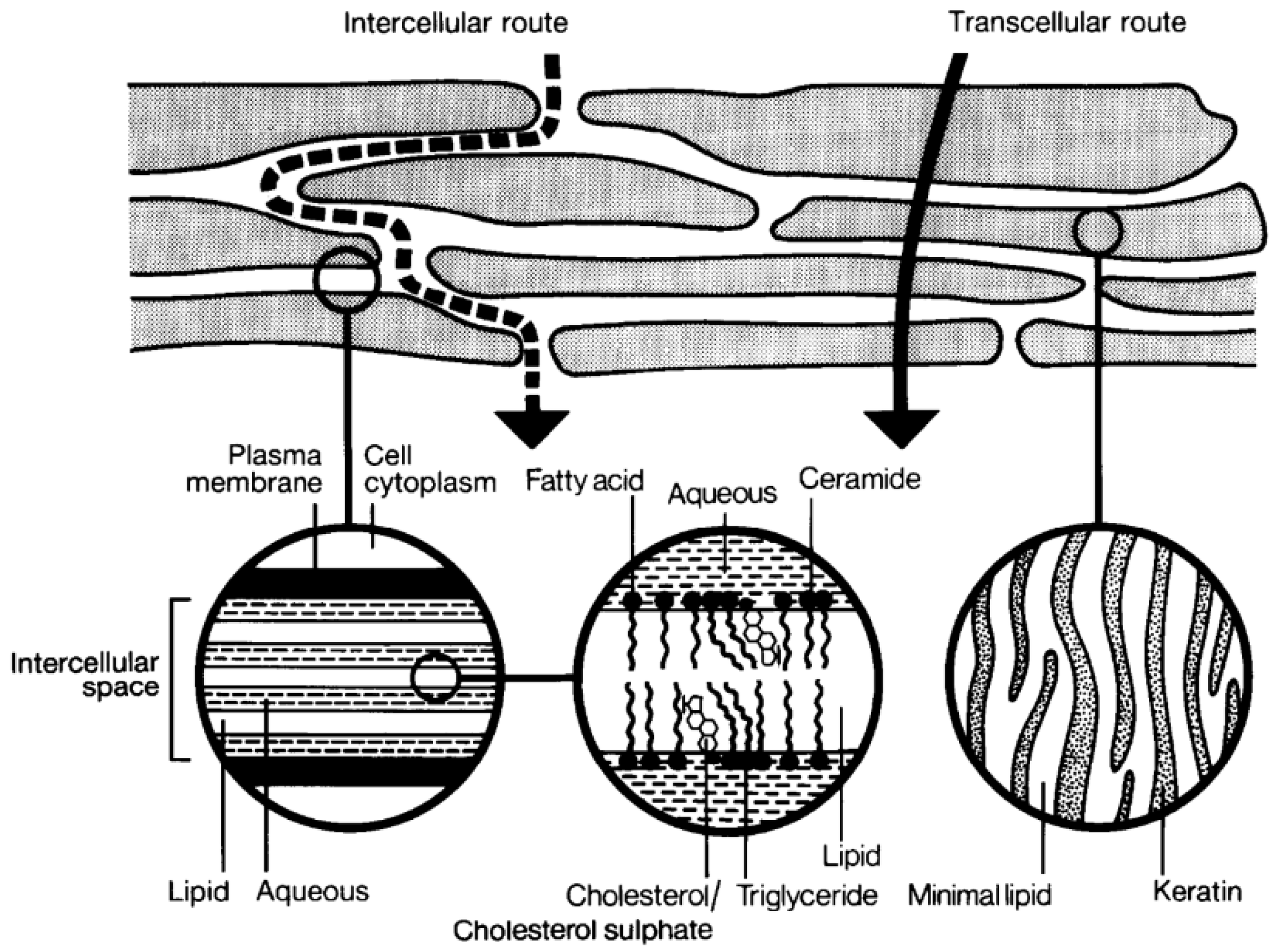 Processes 13 00907 g002