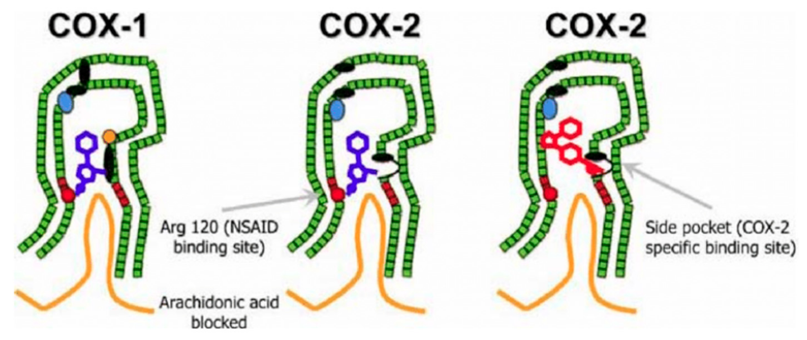 Processes 13 00907 g003