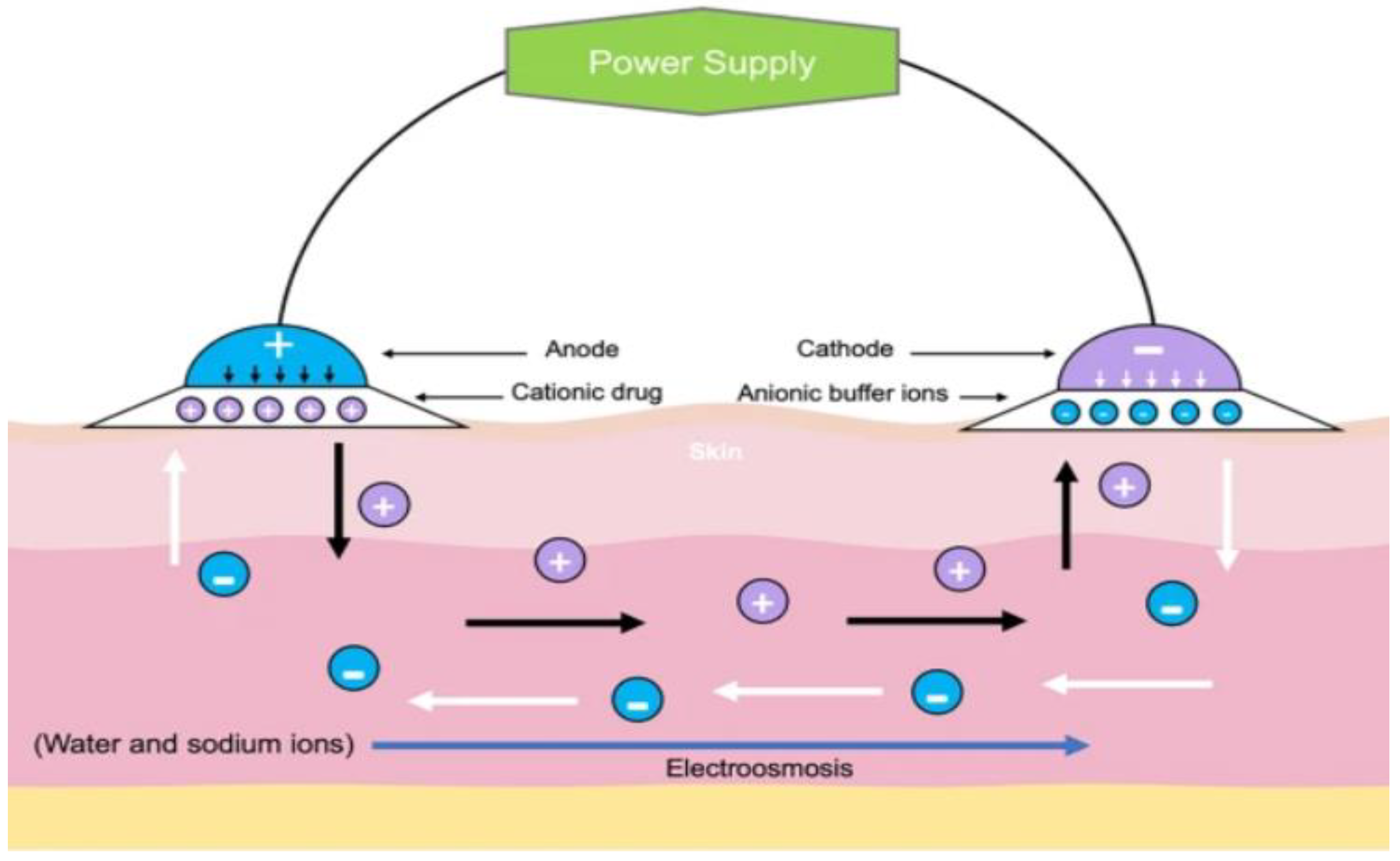 Processes 13 00907 g005