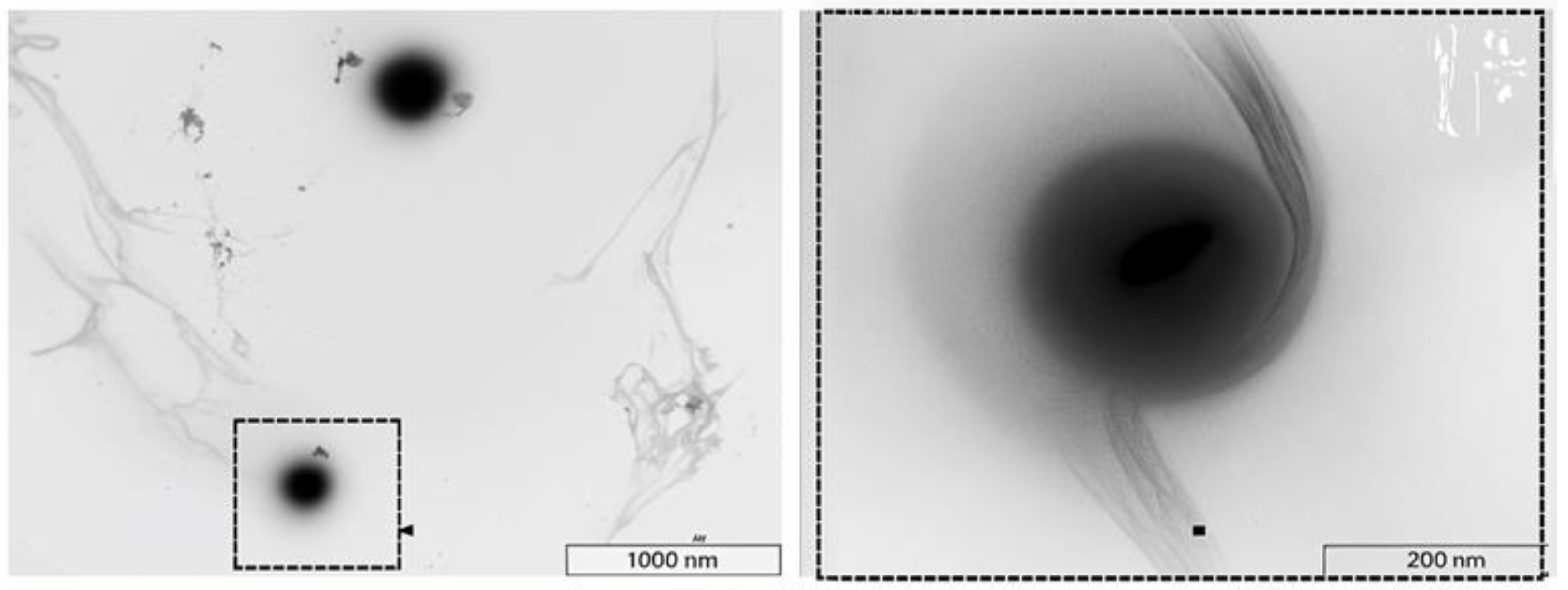 Processes 13 00907 g008