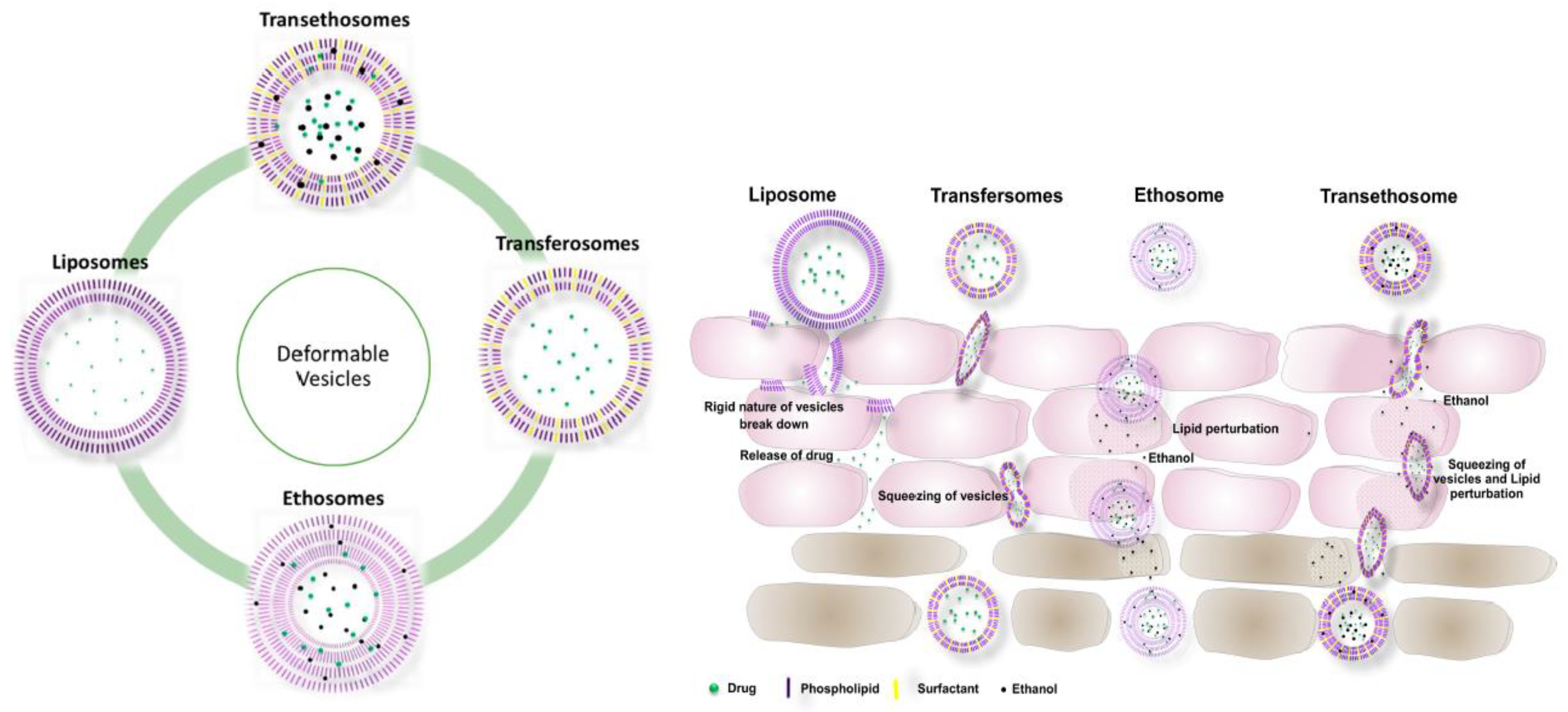 Processes 13 00907 g012