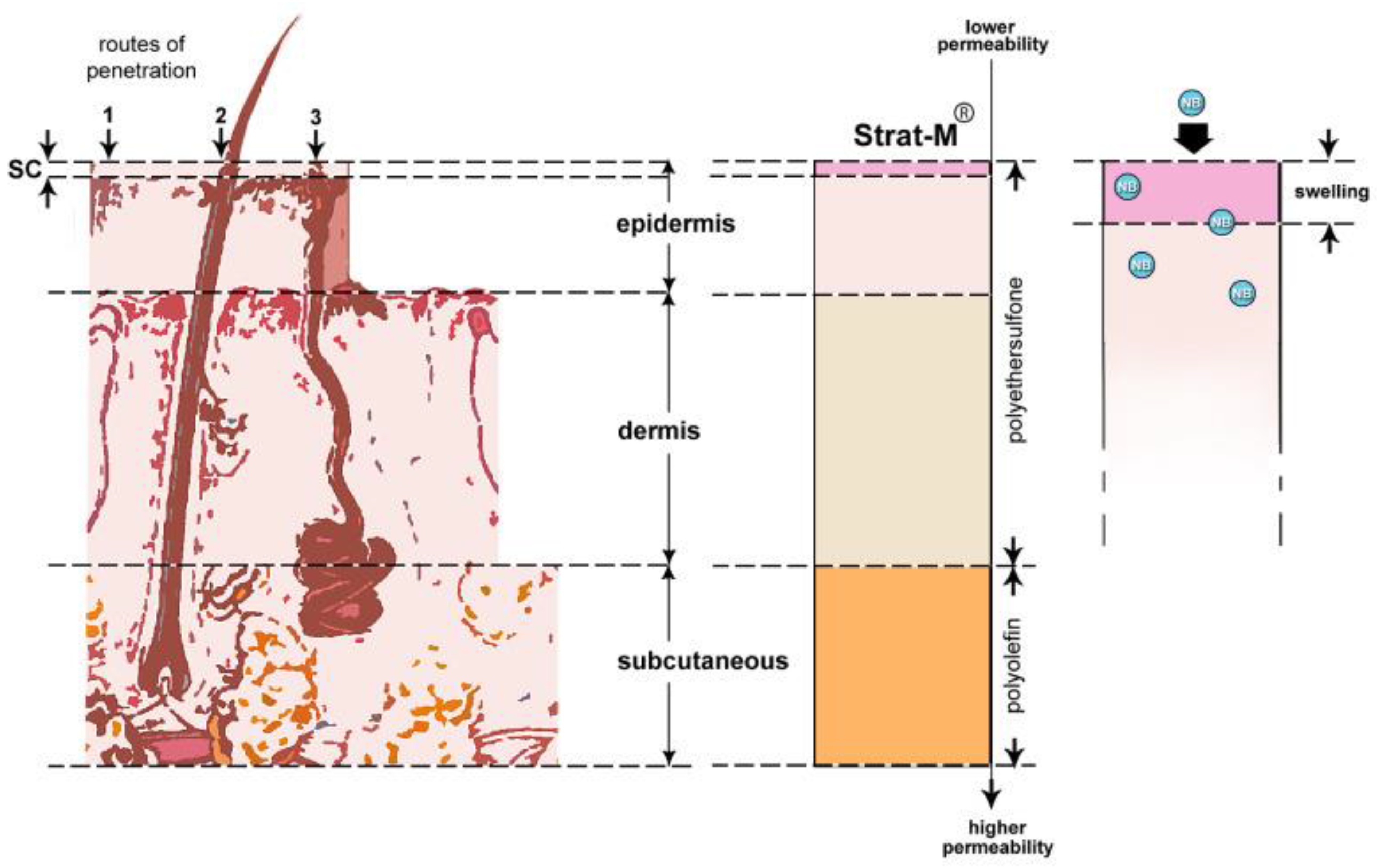 Processes 13 00907 g013