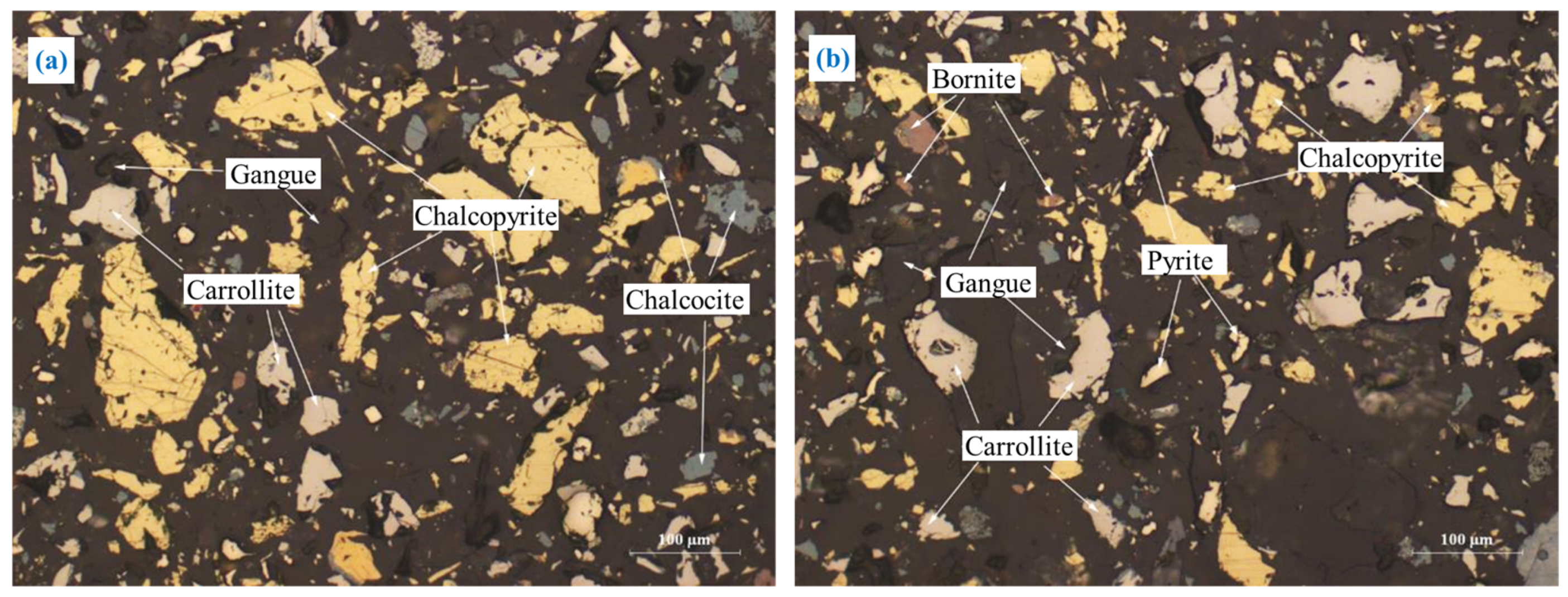 Processes 13 00918 g011