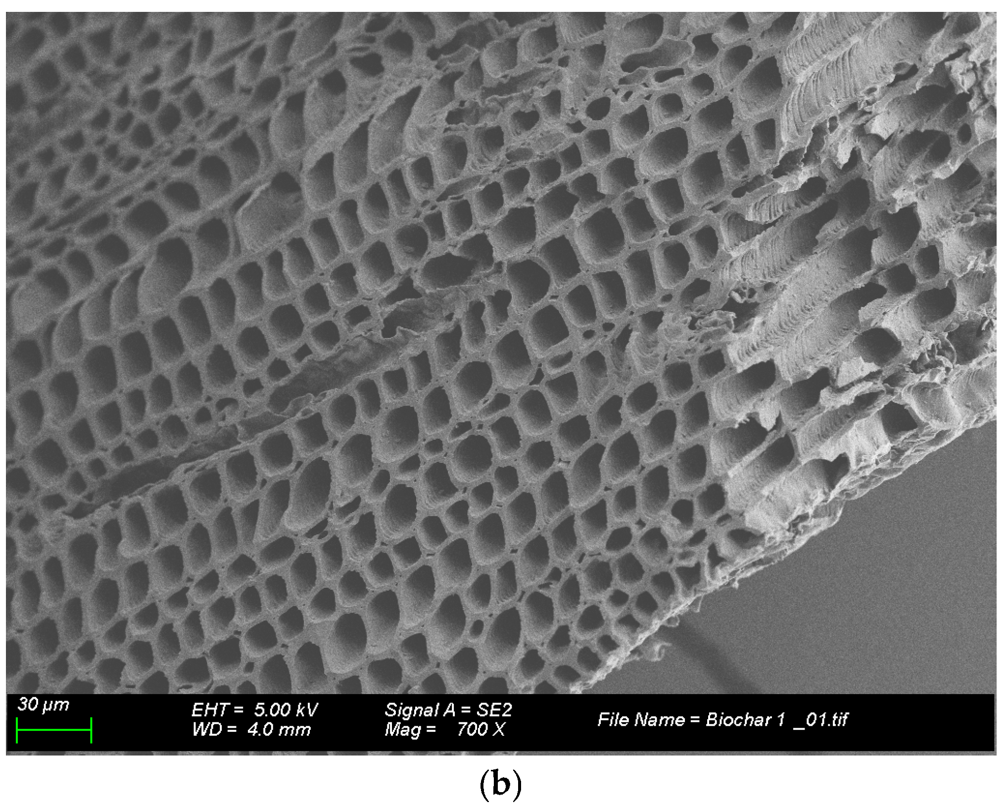 Processes 13 00940 g003b