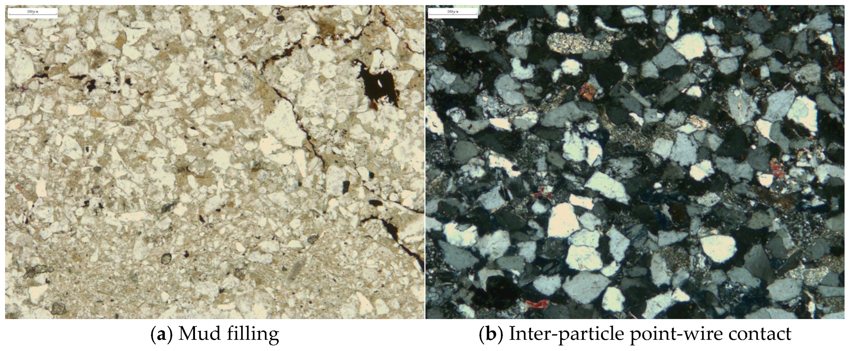 Processes 13 00947 g002