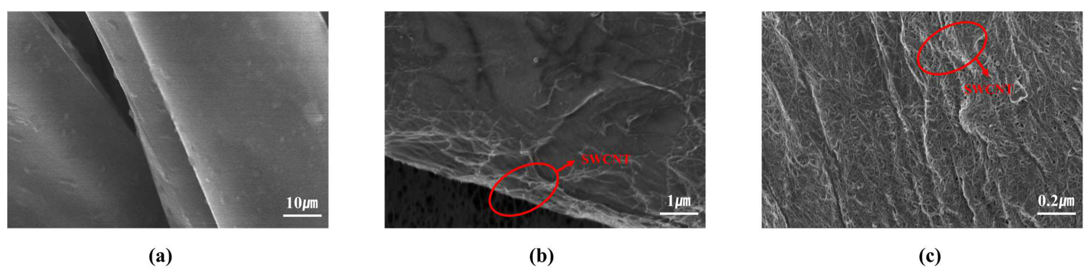 Processes 13 00959 g005