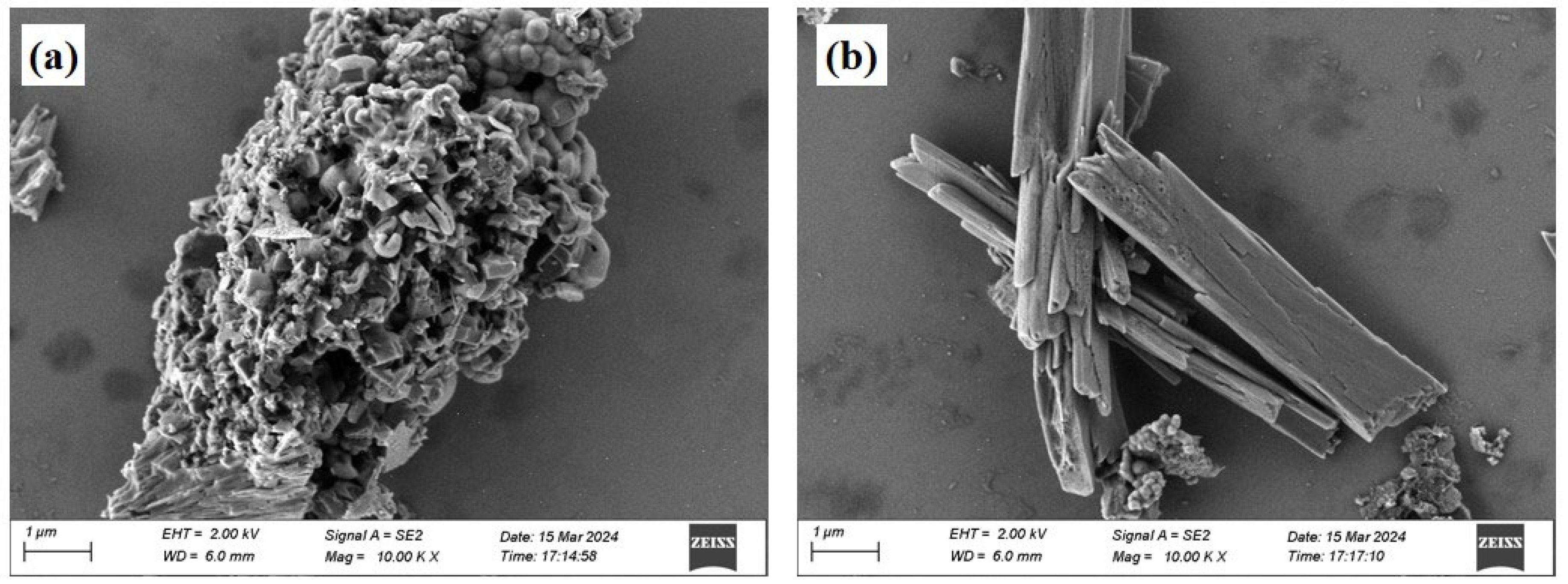 Processes 13 00972 g002