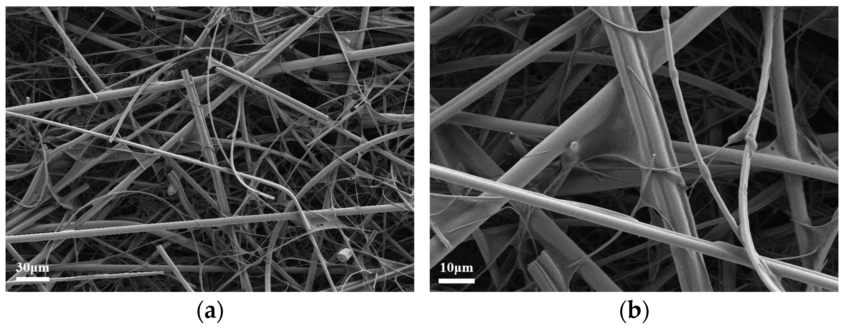 Processes 13 00975 g003