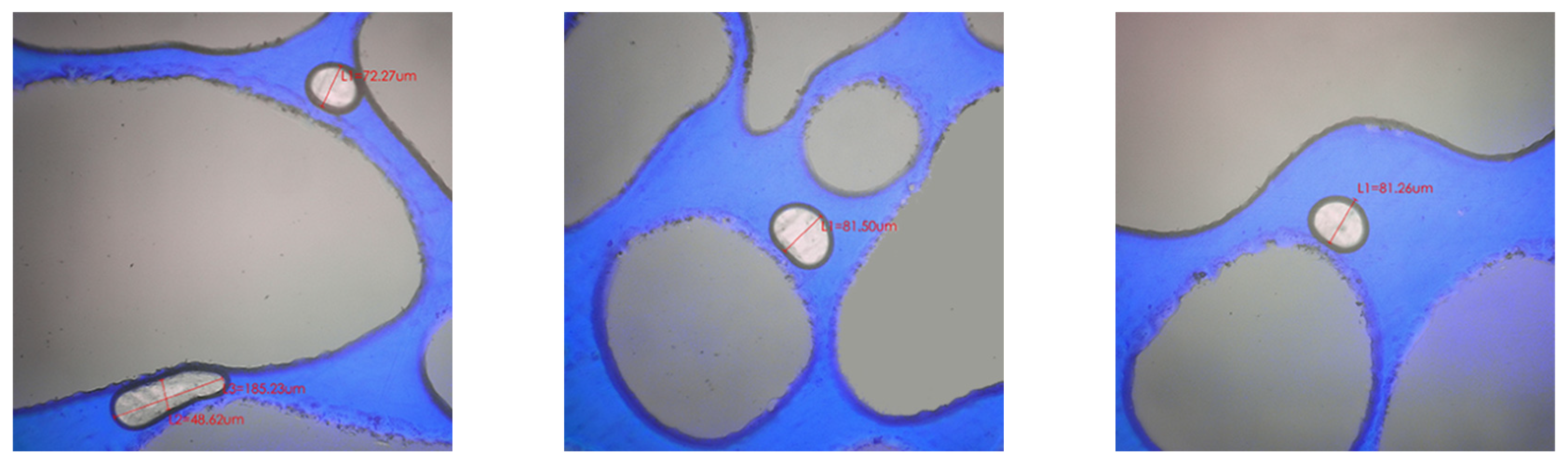 Processes 13 00979 g005