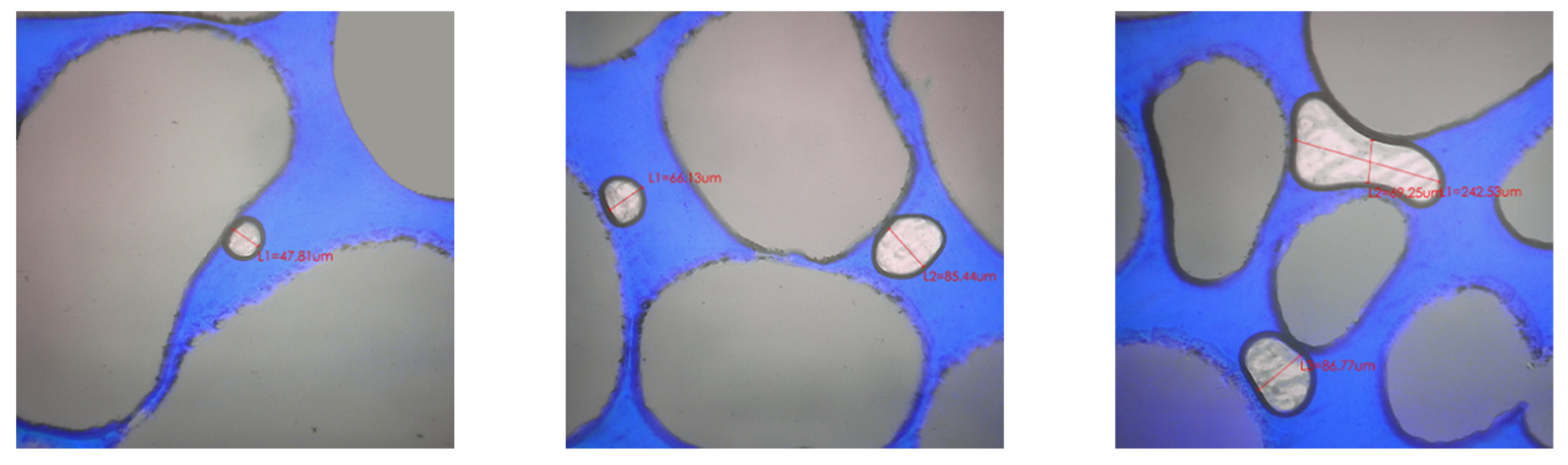 Processes 13 00979 g006