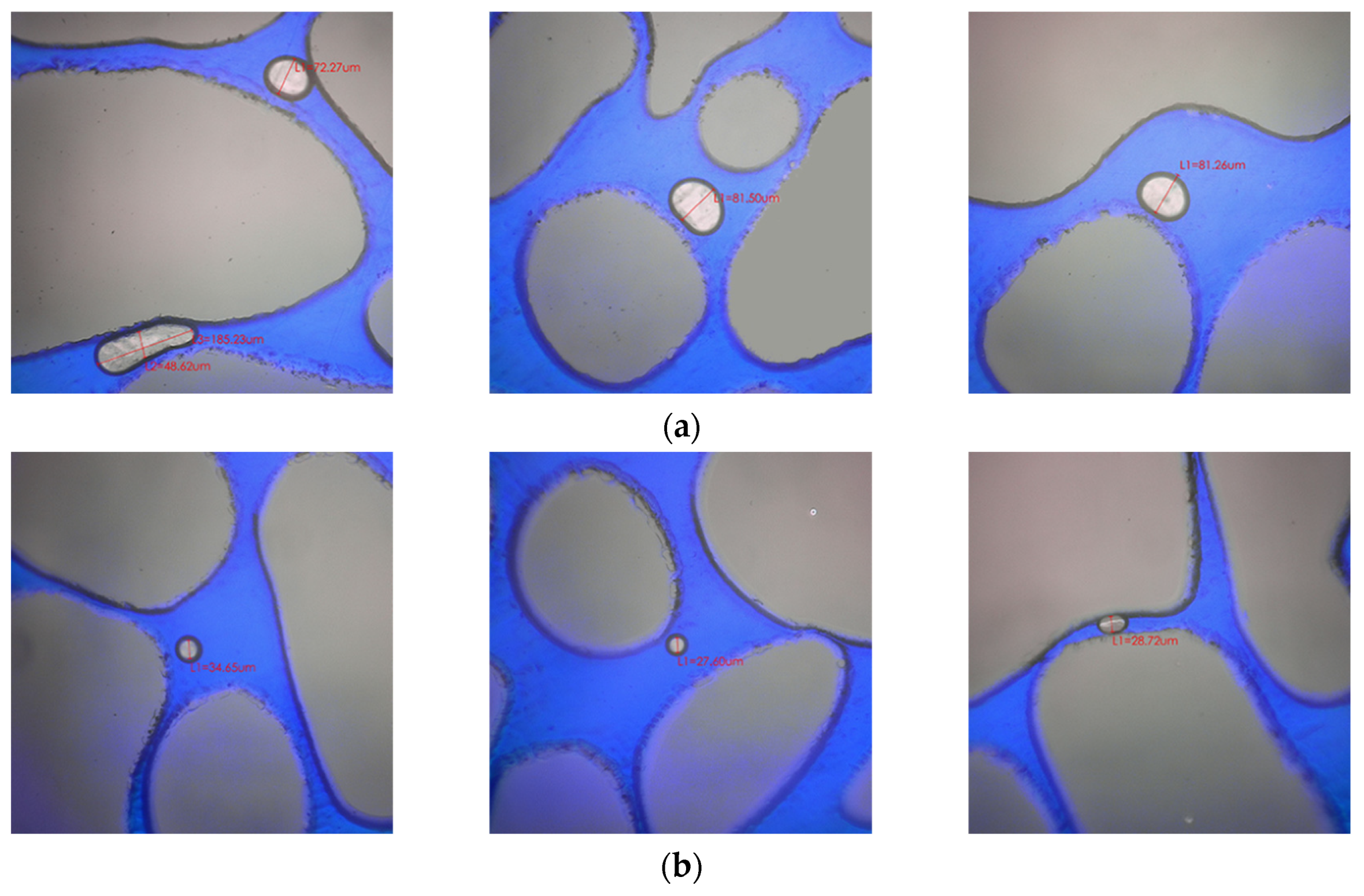 Processes 13 00979 g008