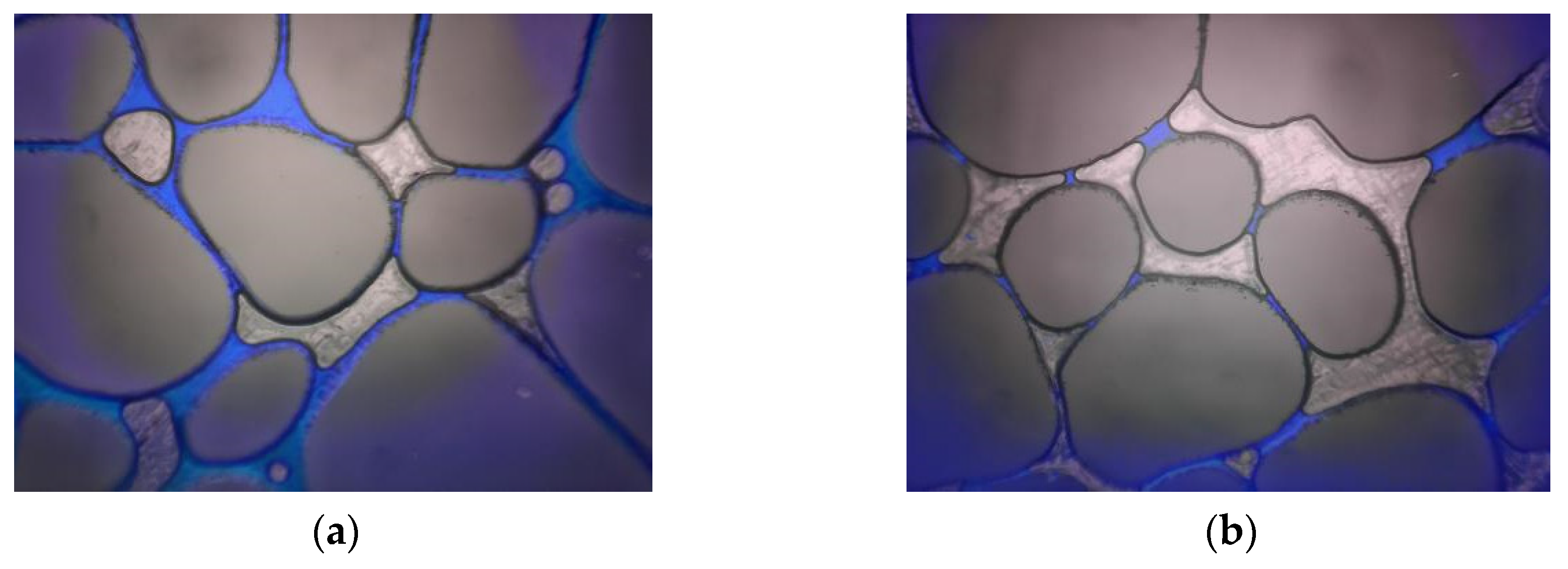 Processes 13 00979 g010