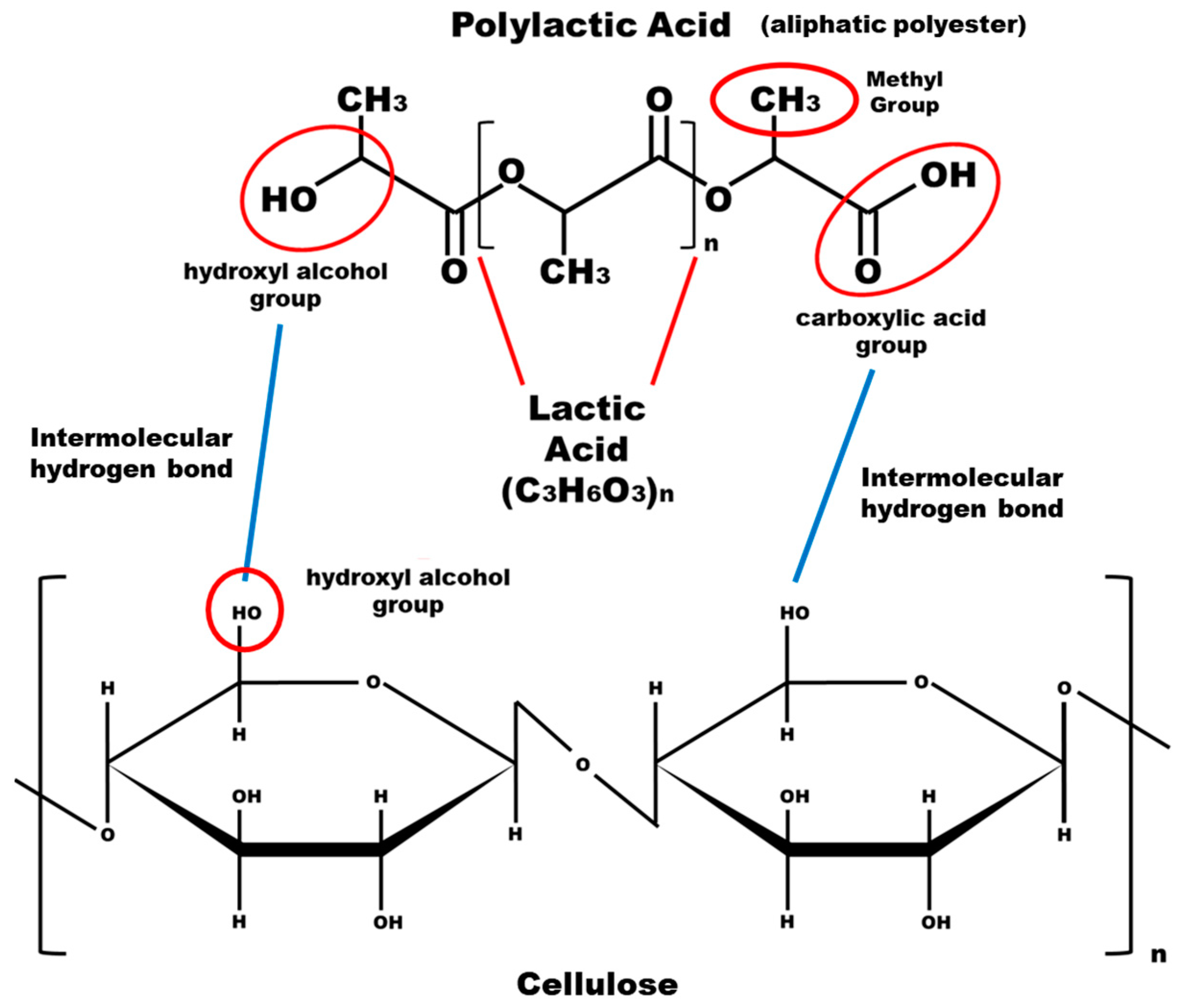Processes 13 01000 g001