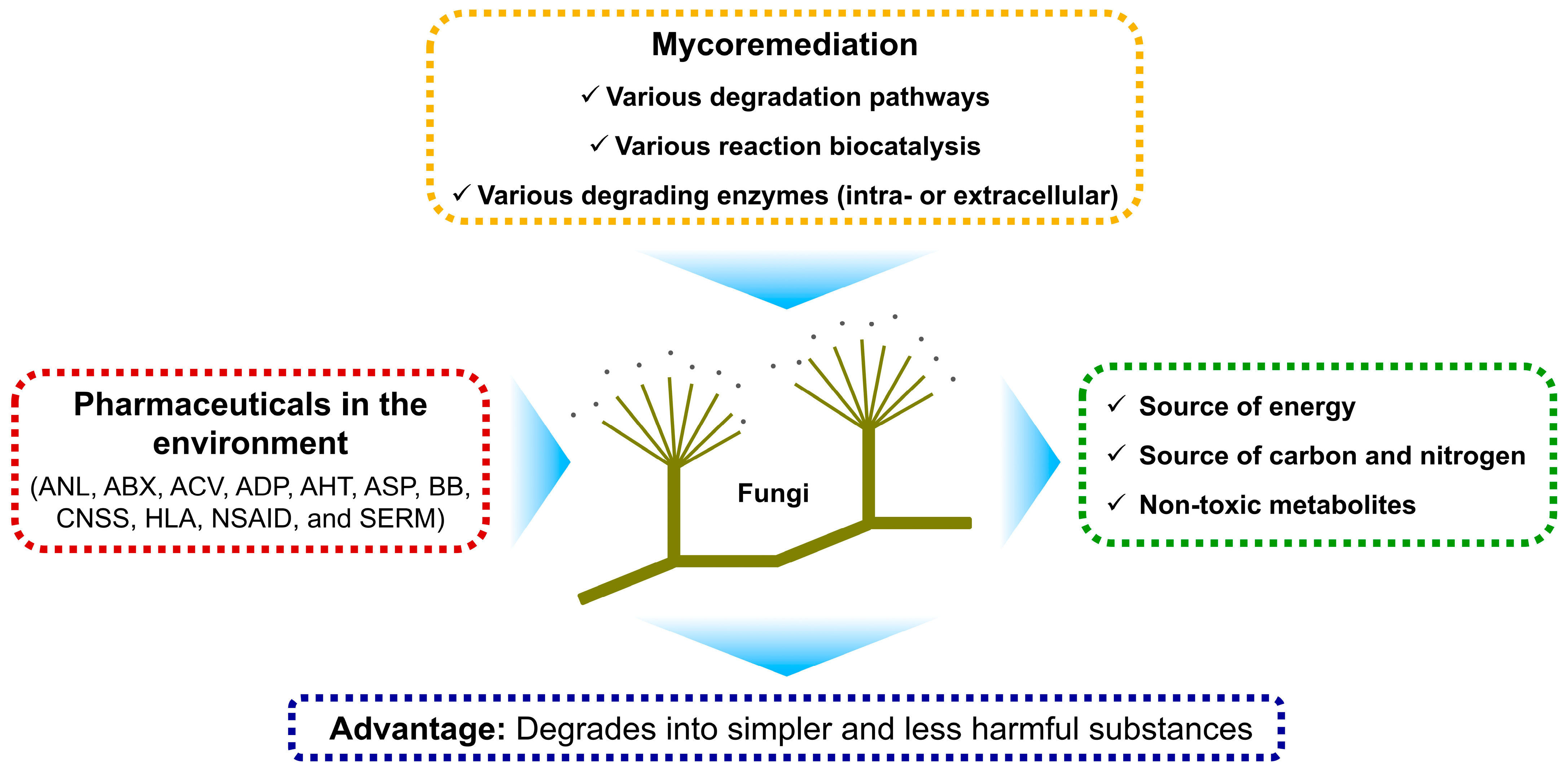 Processes 13 01034 g002