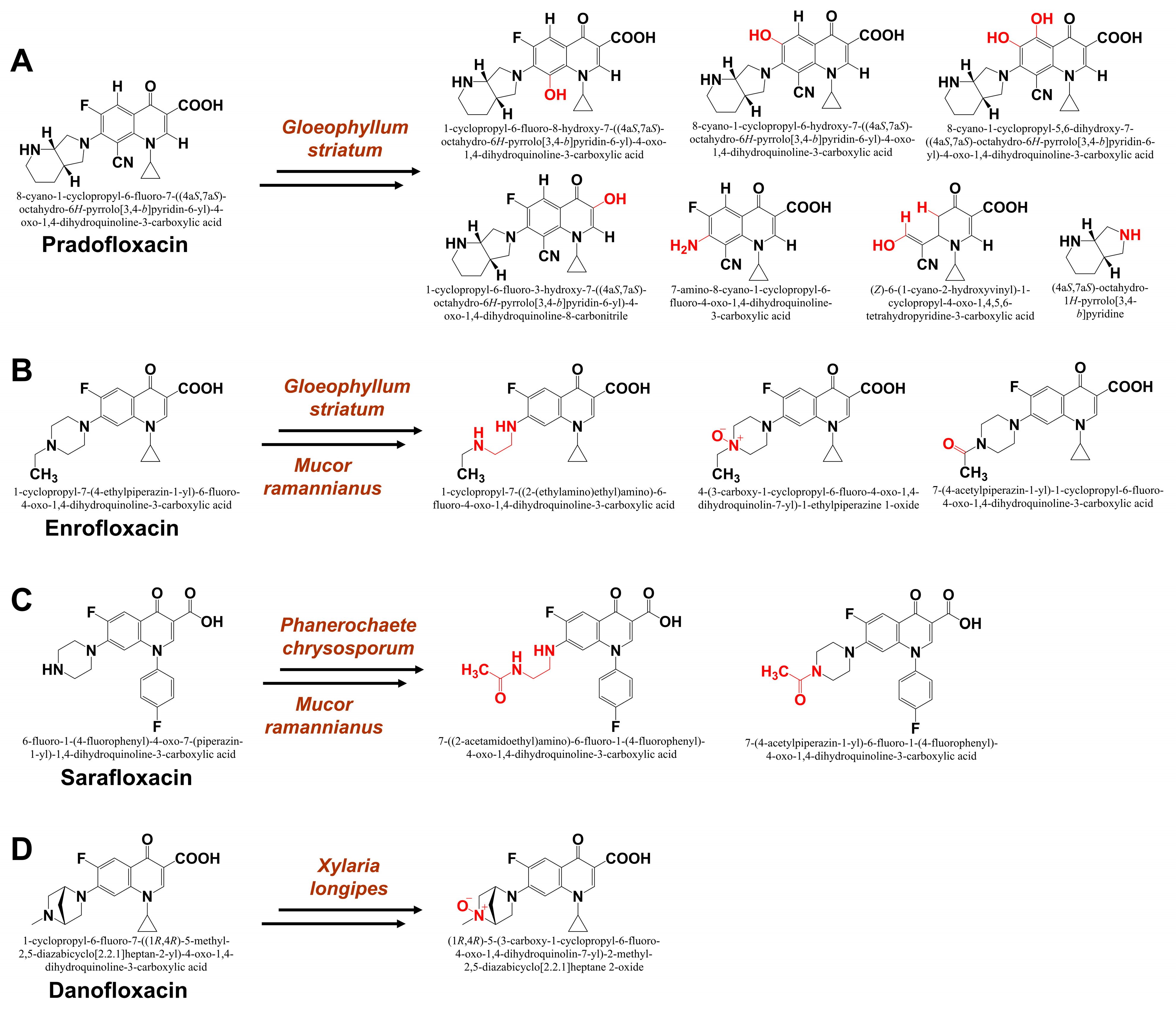 Processes 13 01034 g003