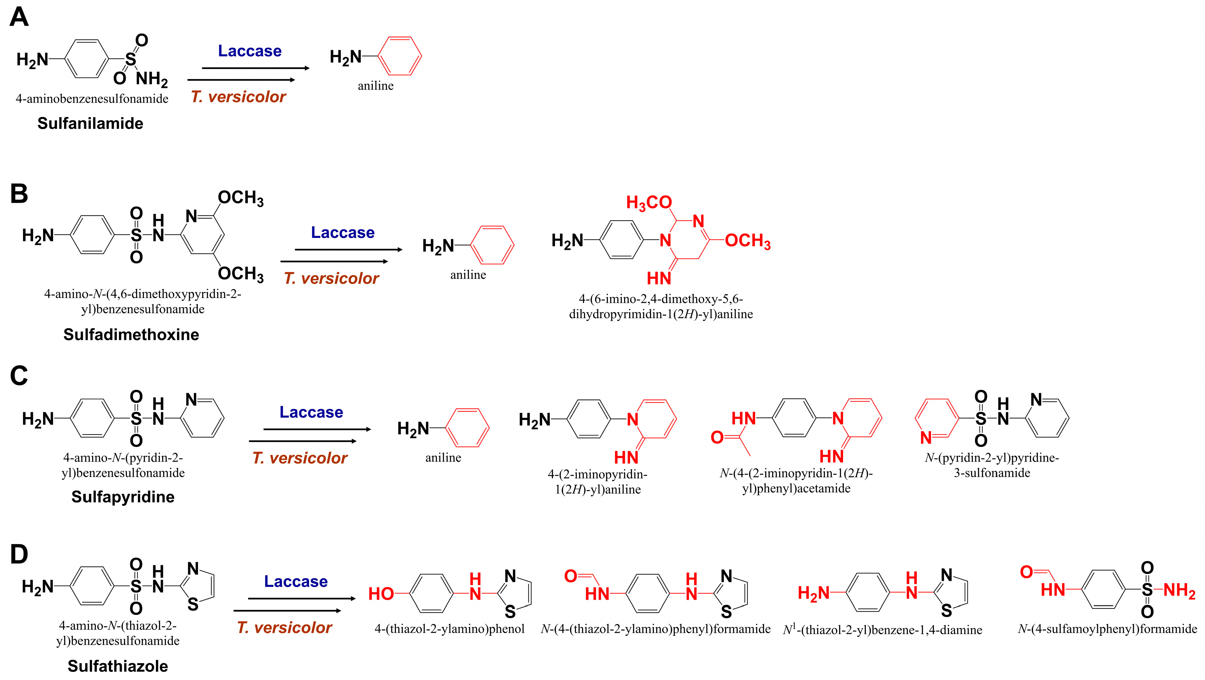 Processes 13 01034 g004
