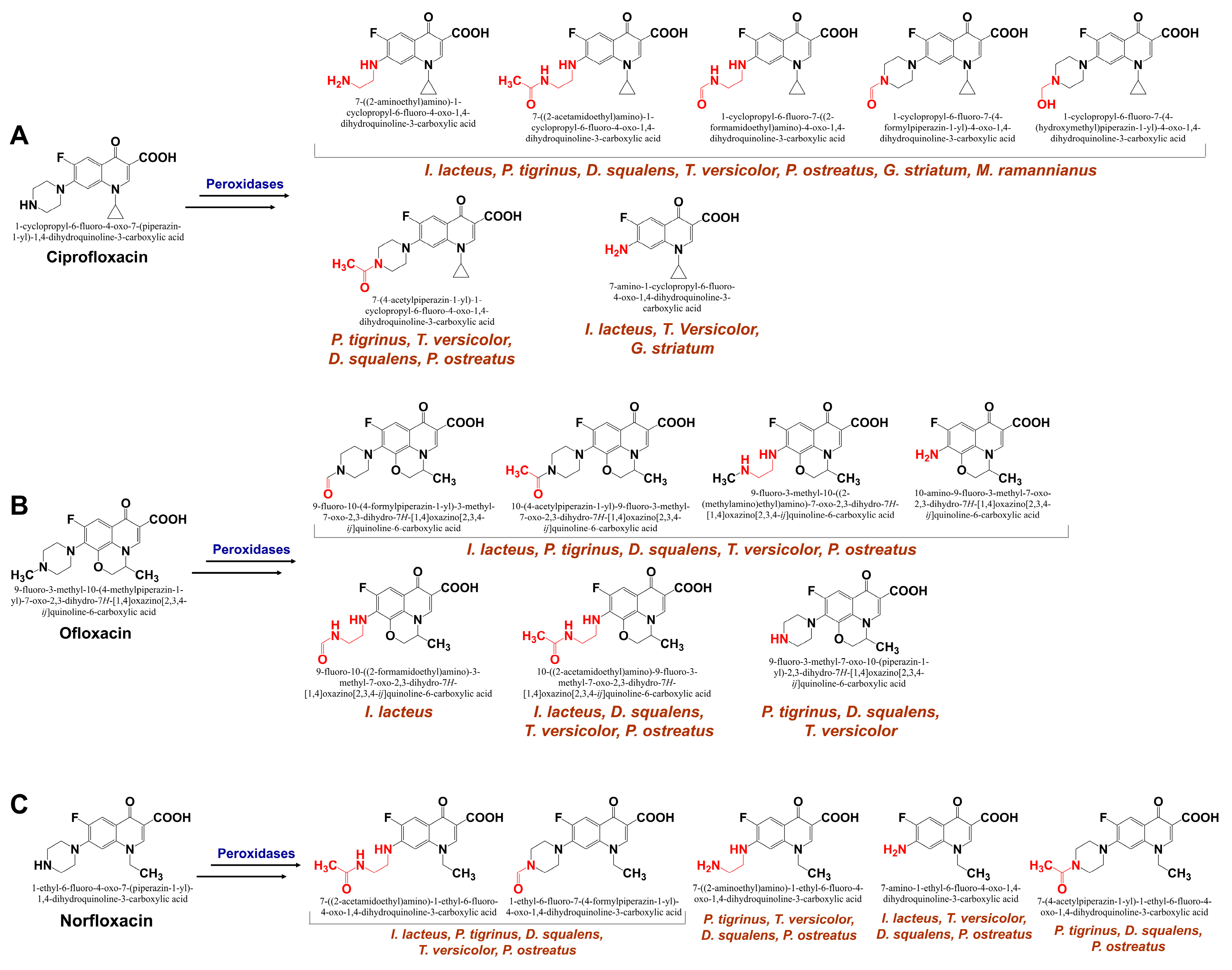 Processes 13 01034 g005