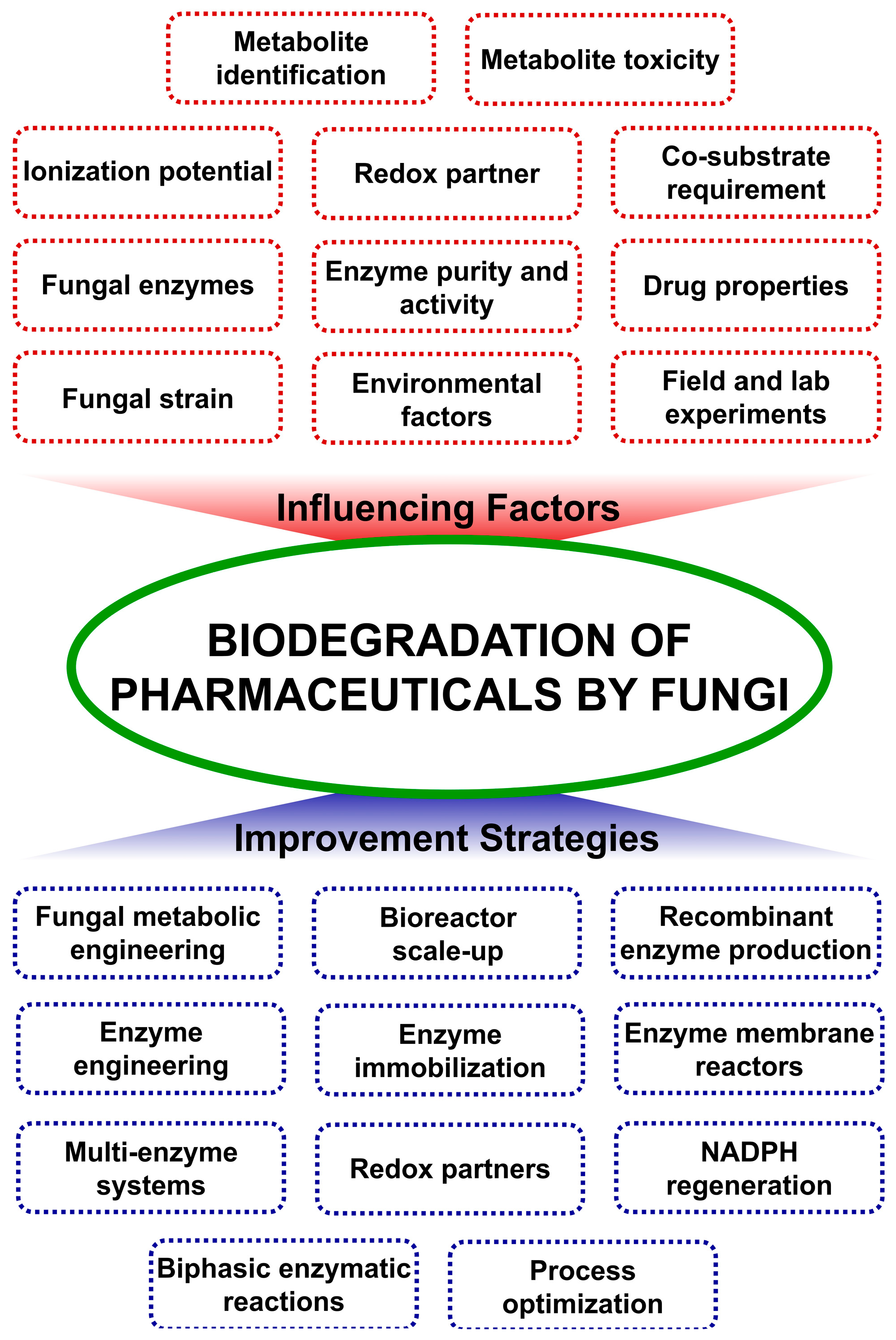 Processes 13 01034 g007