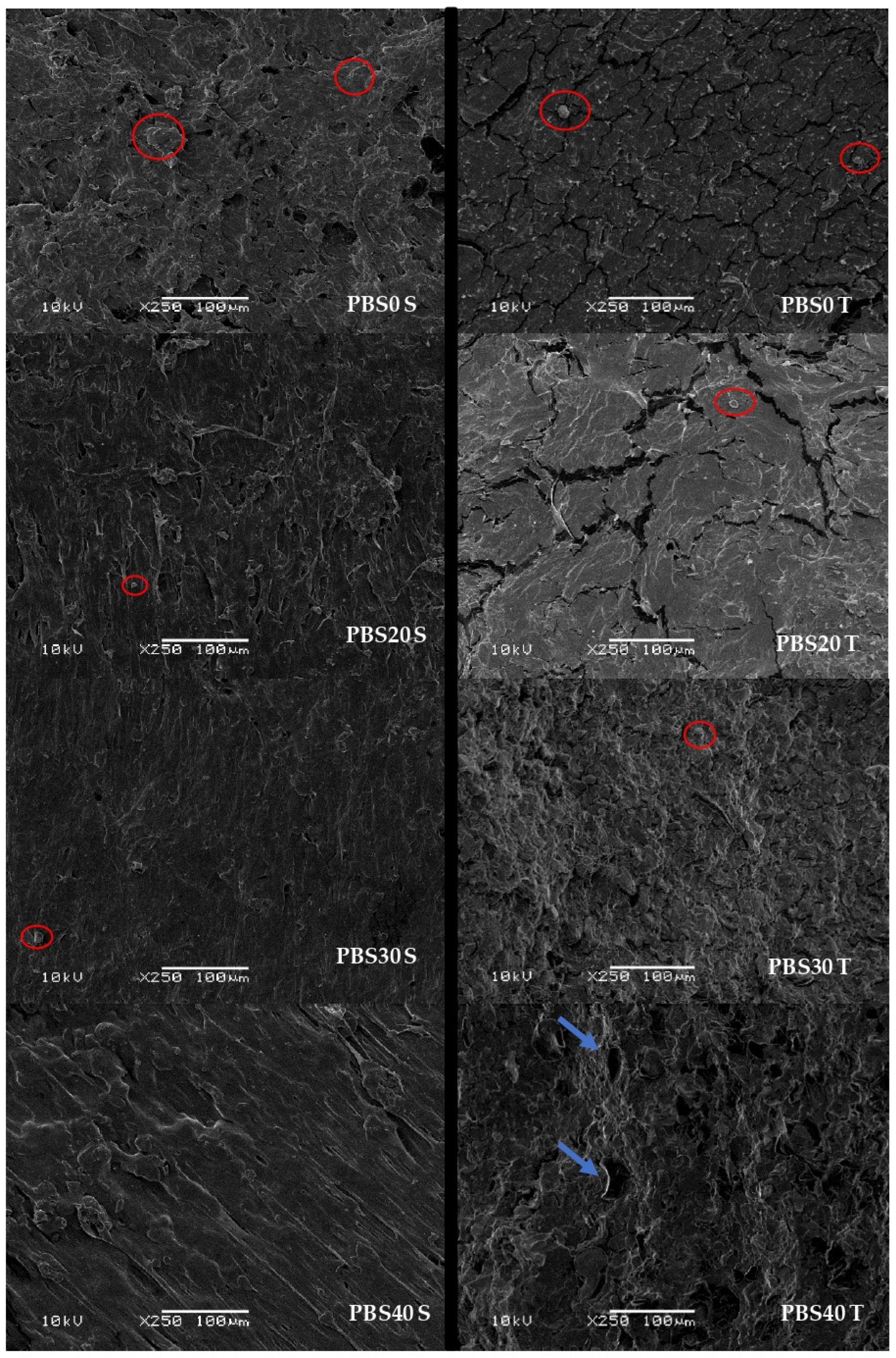 Processes 13 01044 g004