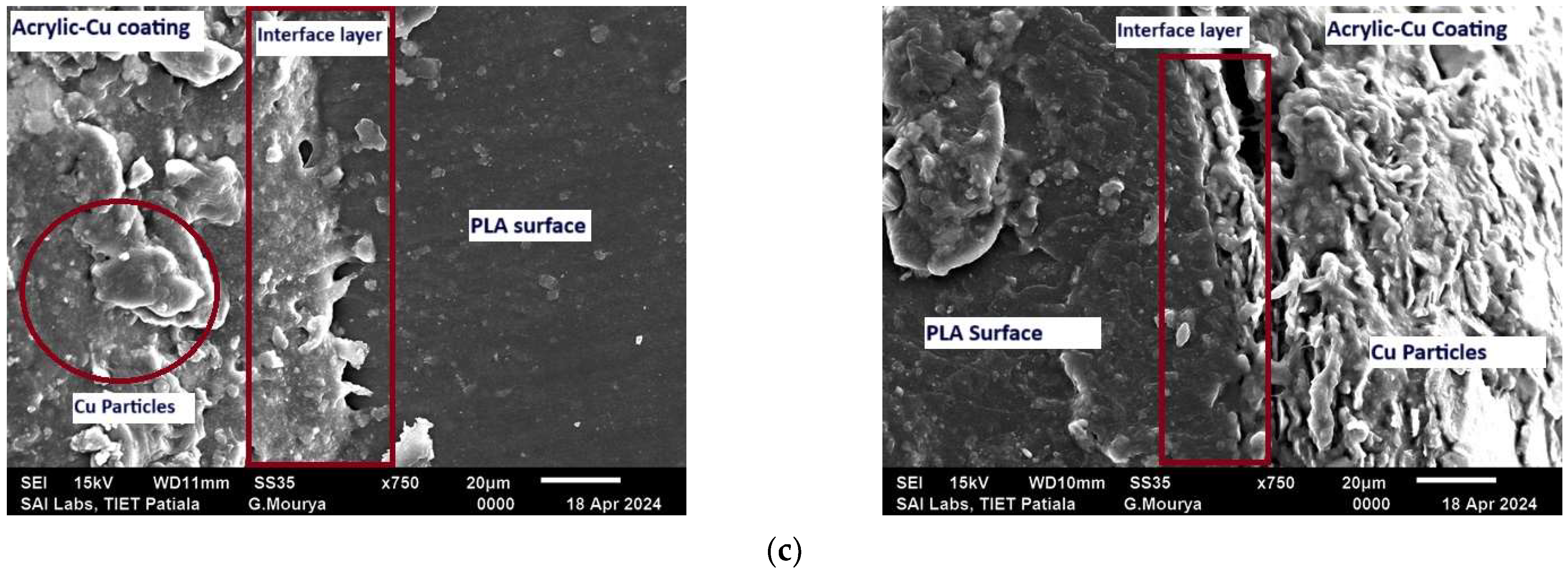 Processes 13 01059 g005b