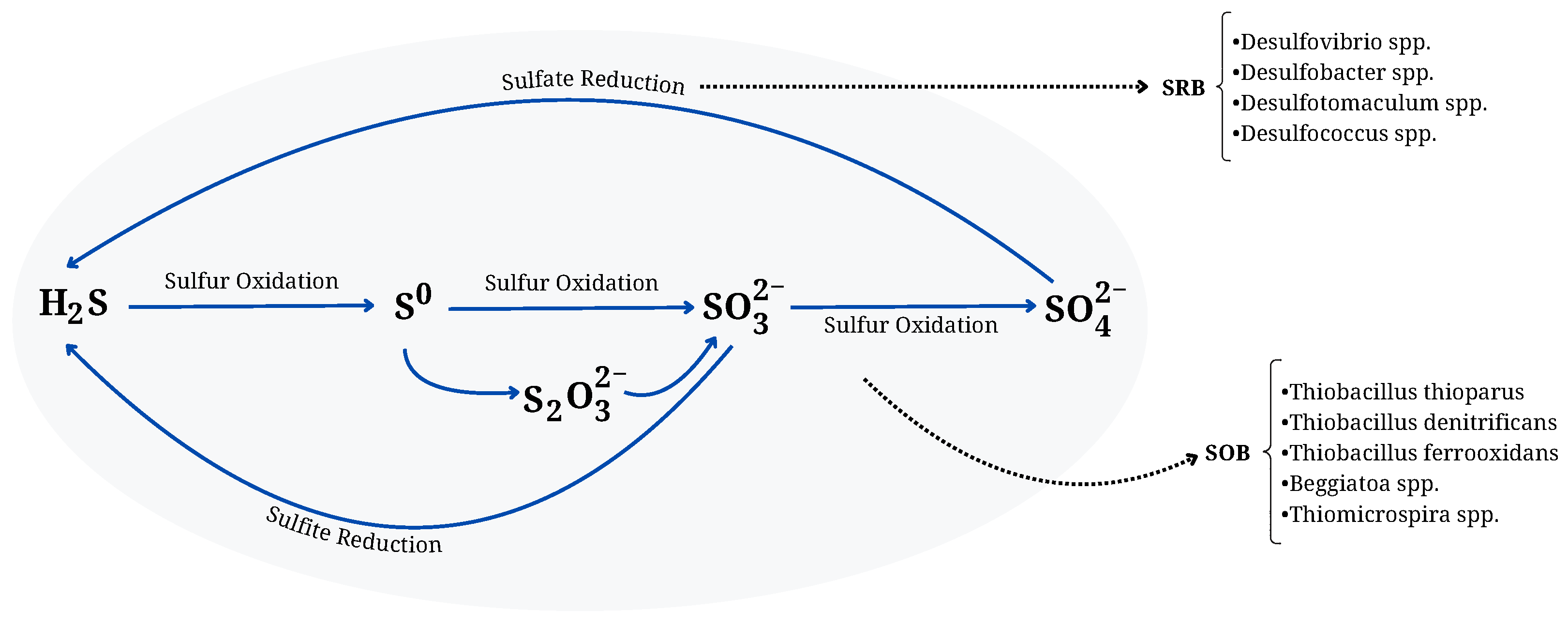 Processes 13 01077 g001