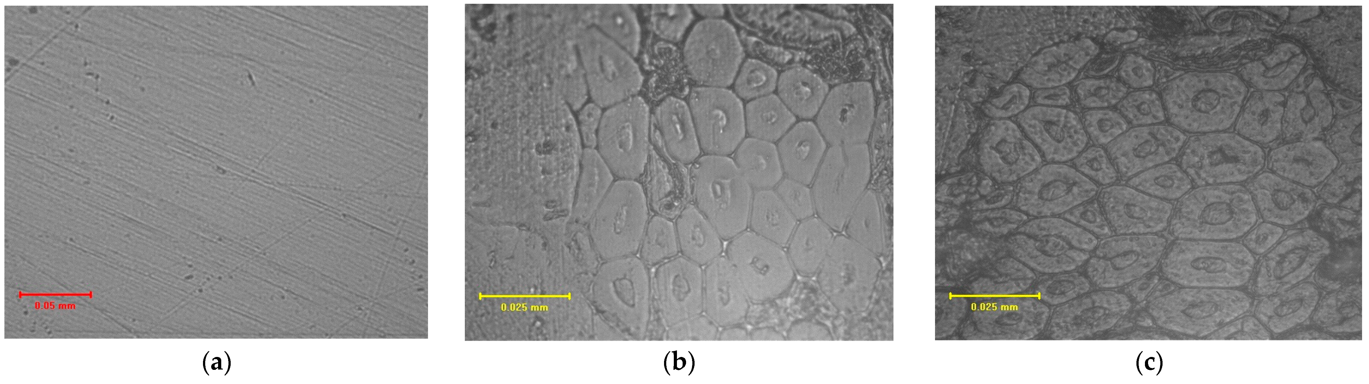 Processes 13 01078 g001