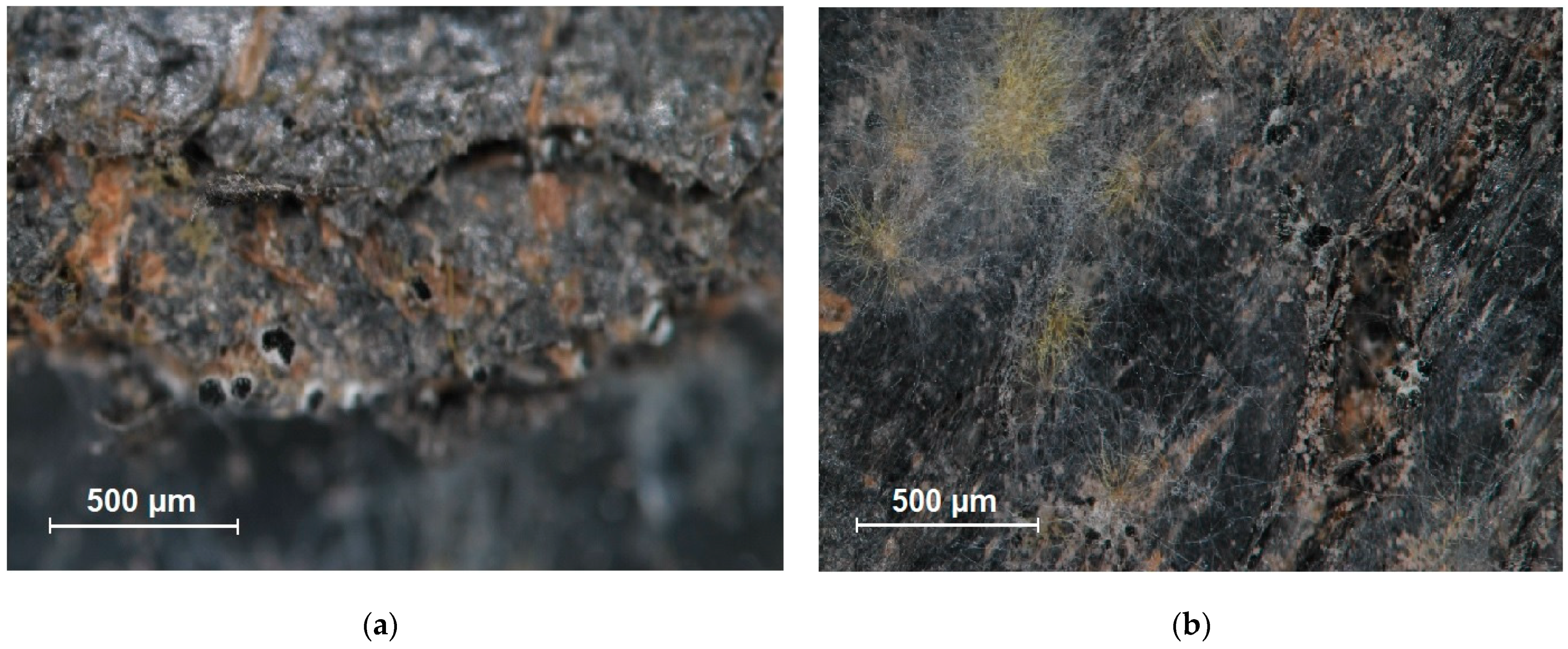 Processes 13 01078 g004