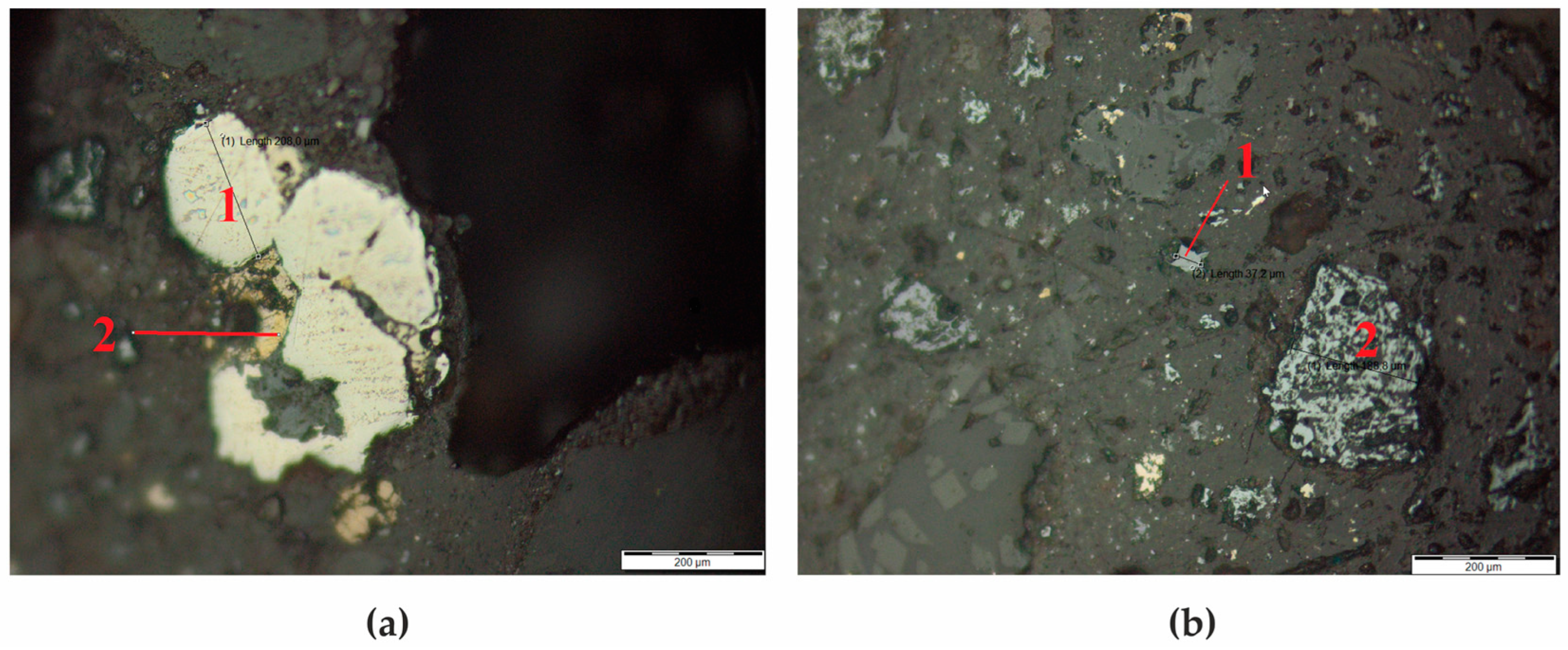 Processes 13 01099 g001