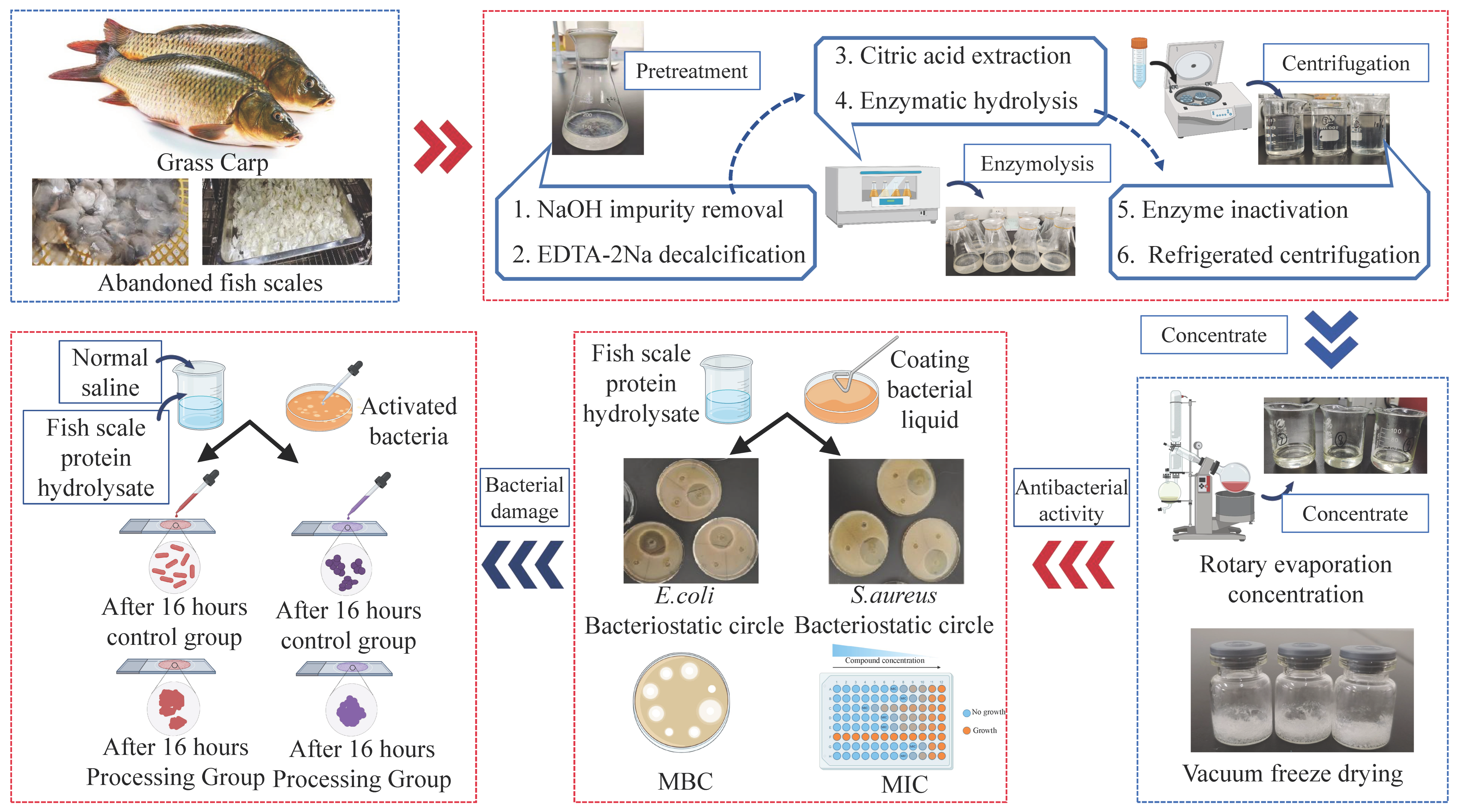 Processes 13 01108 g001