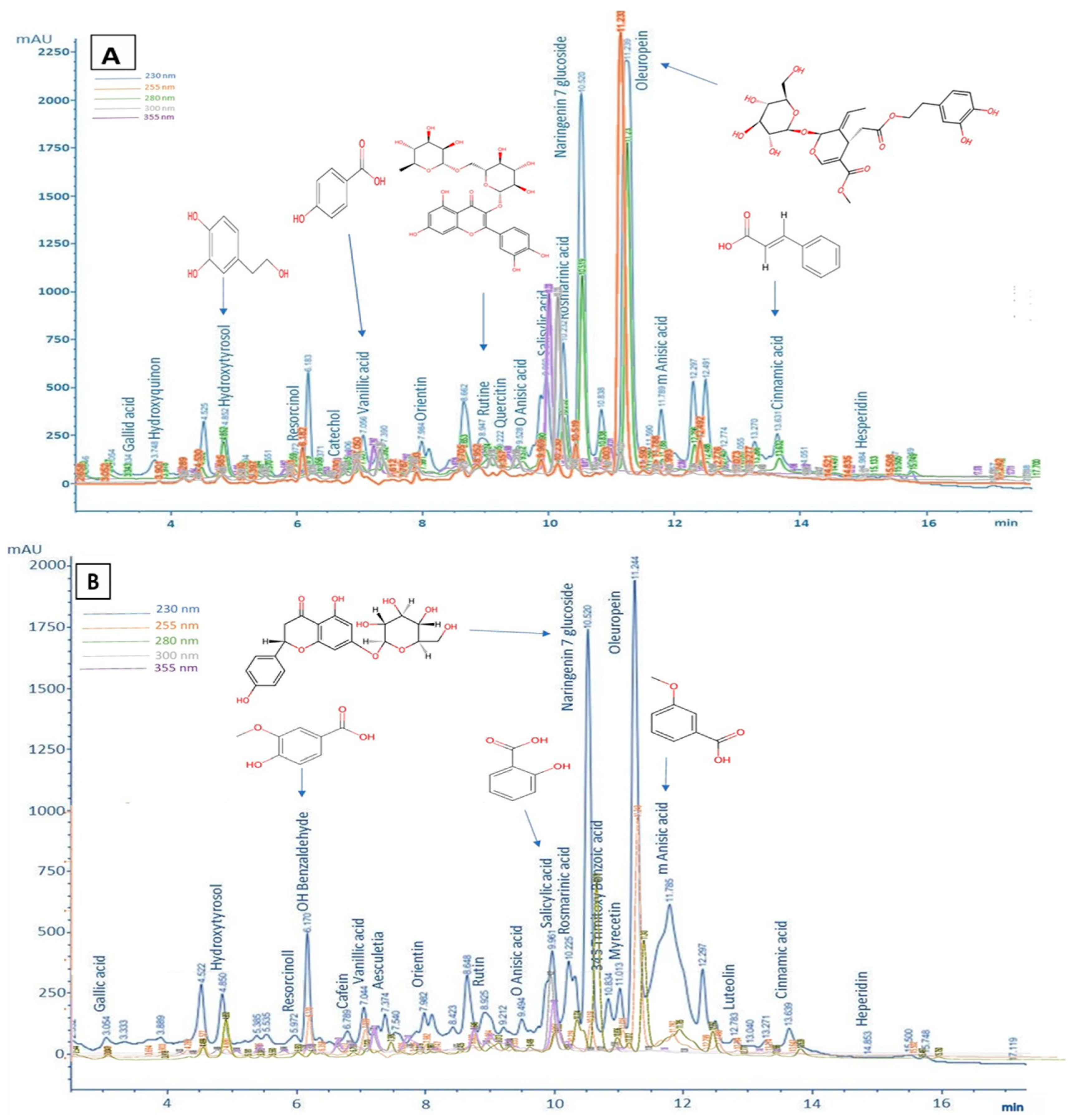 Processes 13 01113 g001