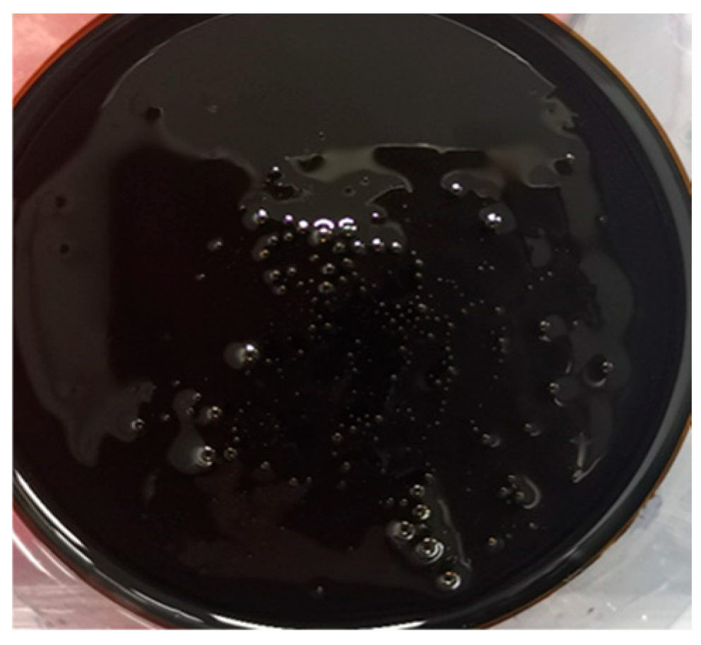 Processes 13 01127 g009