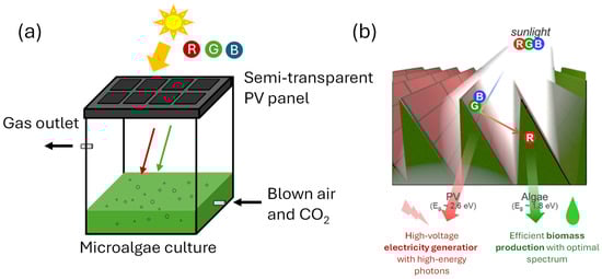 Processes 13 01159 g010