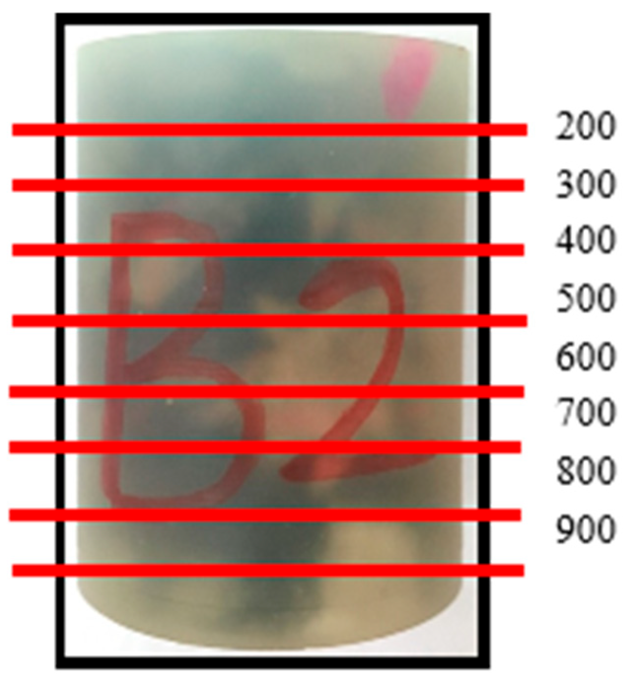 Processes 13 01188 g010