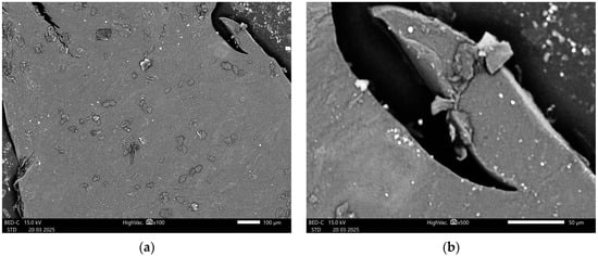 Processes 13 01197 g0a10