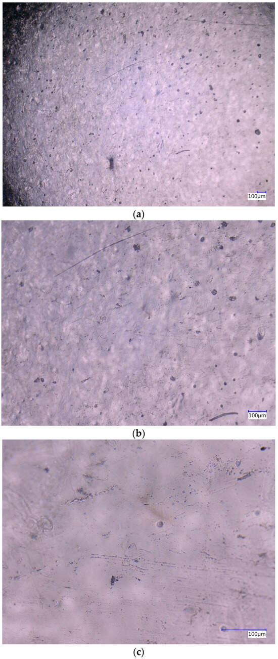 Processes 13 01197 g0a2