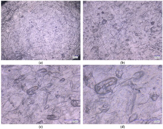 Processes 13 01197 g0a5
