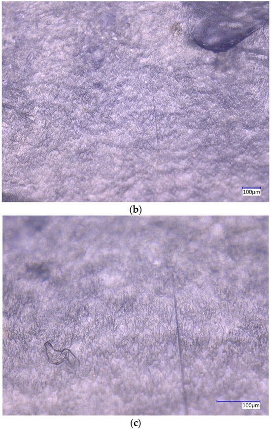 Processes 13 01197 g0a6b