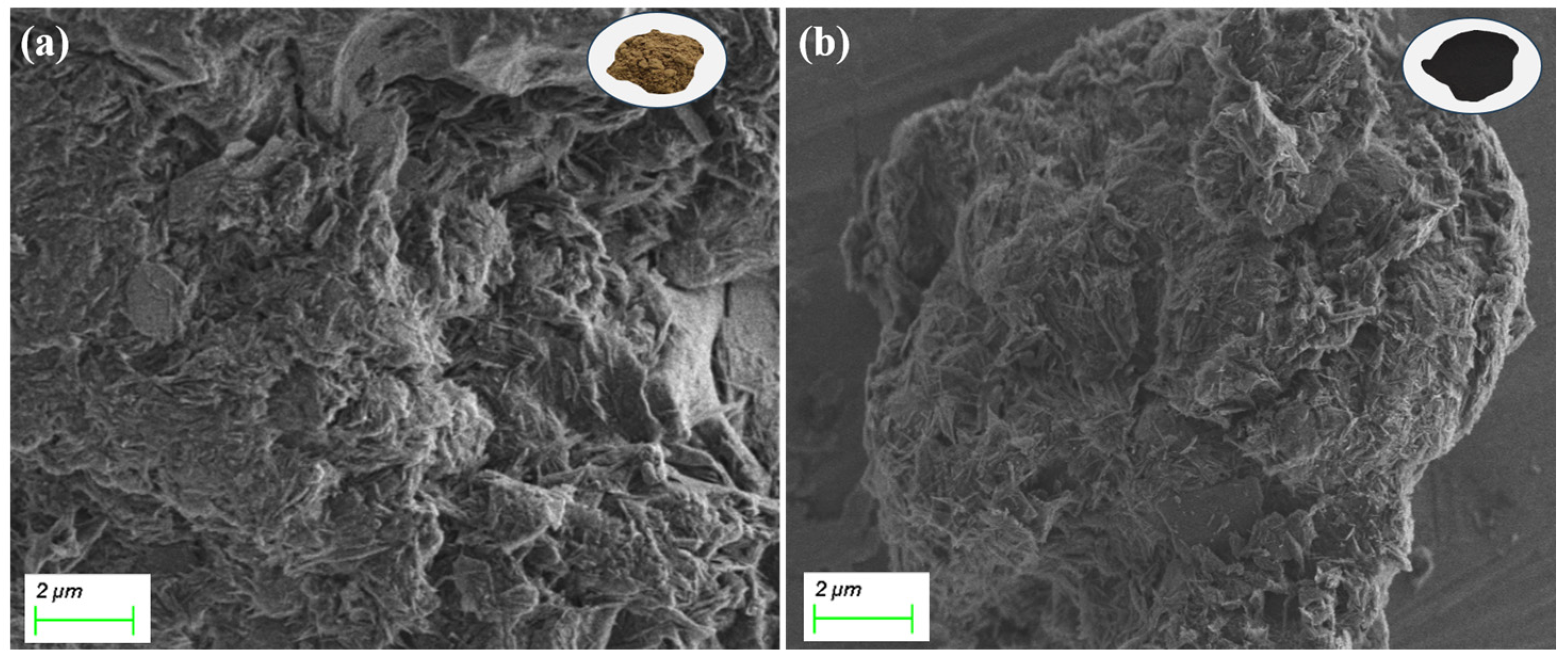 Processes 13 01217 g001
