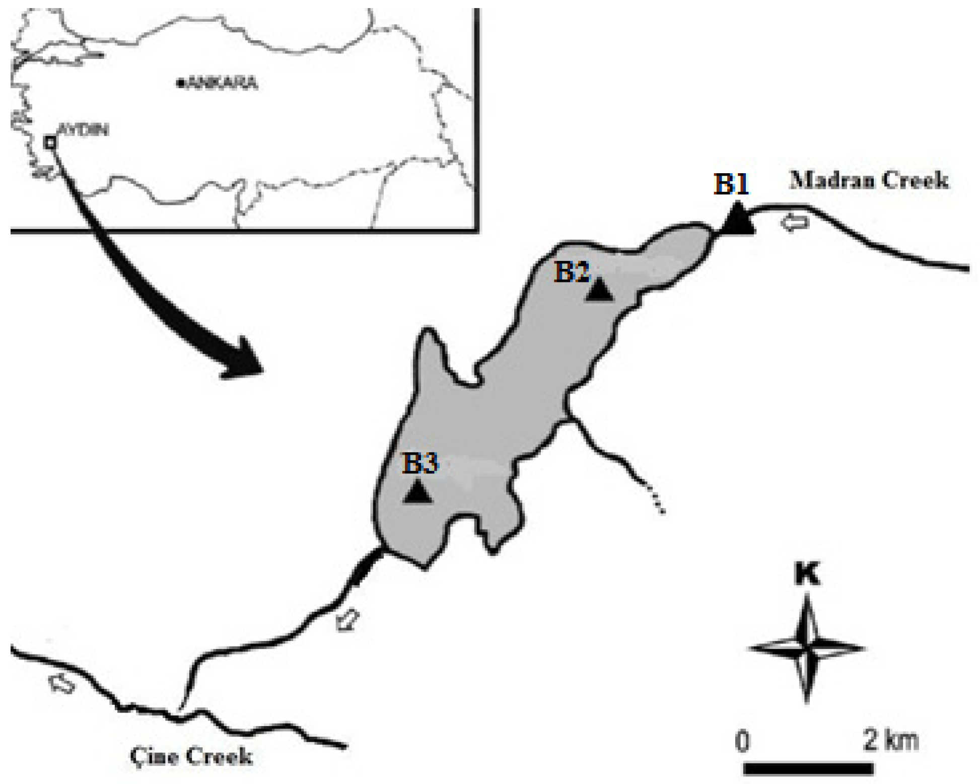 Processes 13 01251 g001