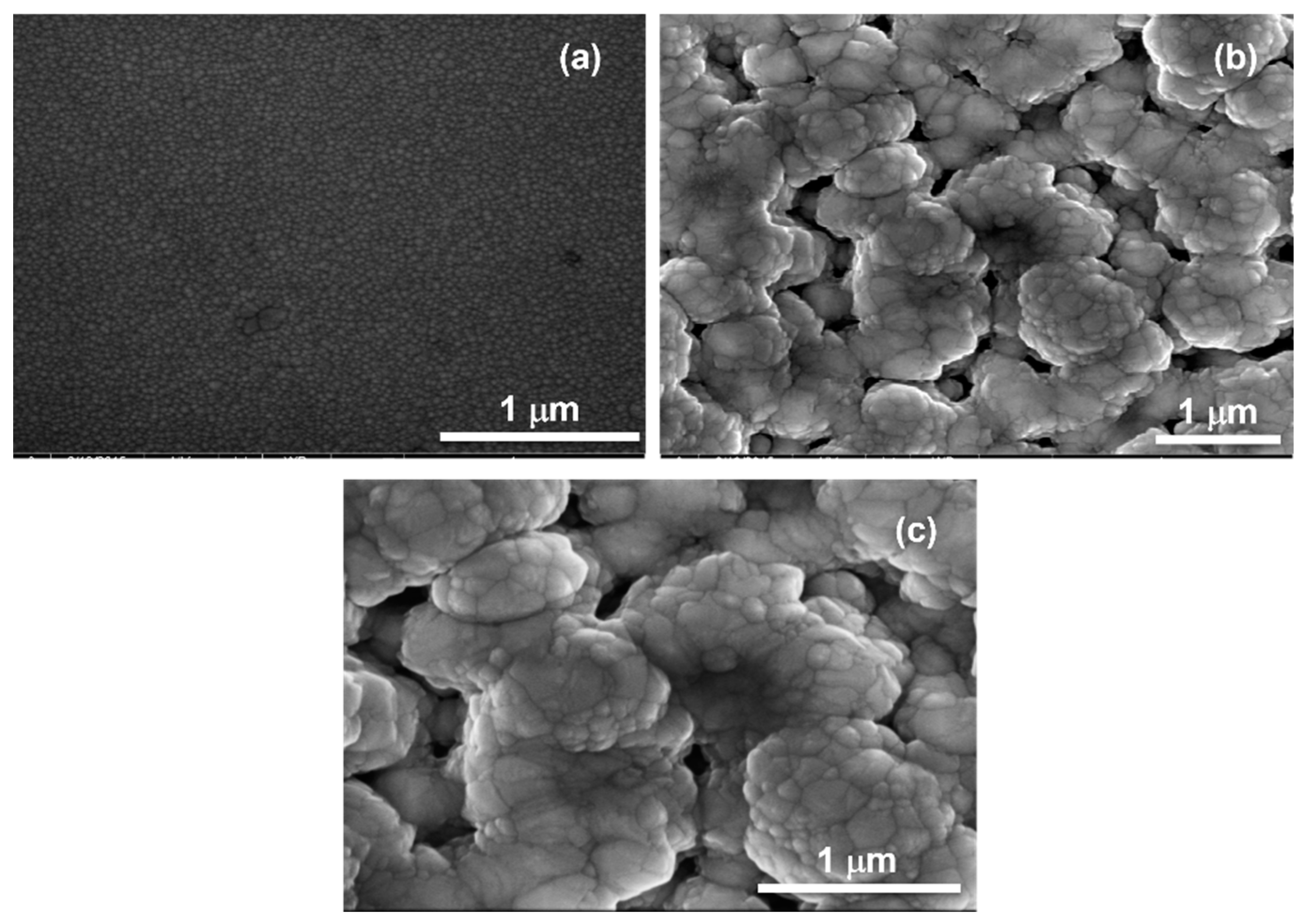 Processes 13 01257 g004