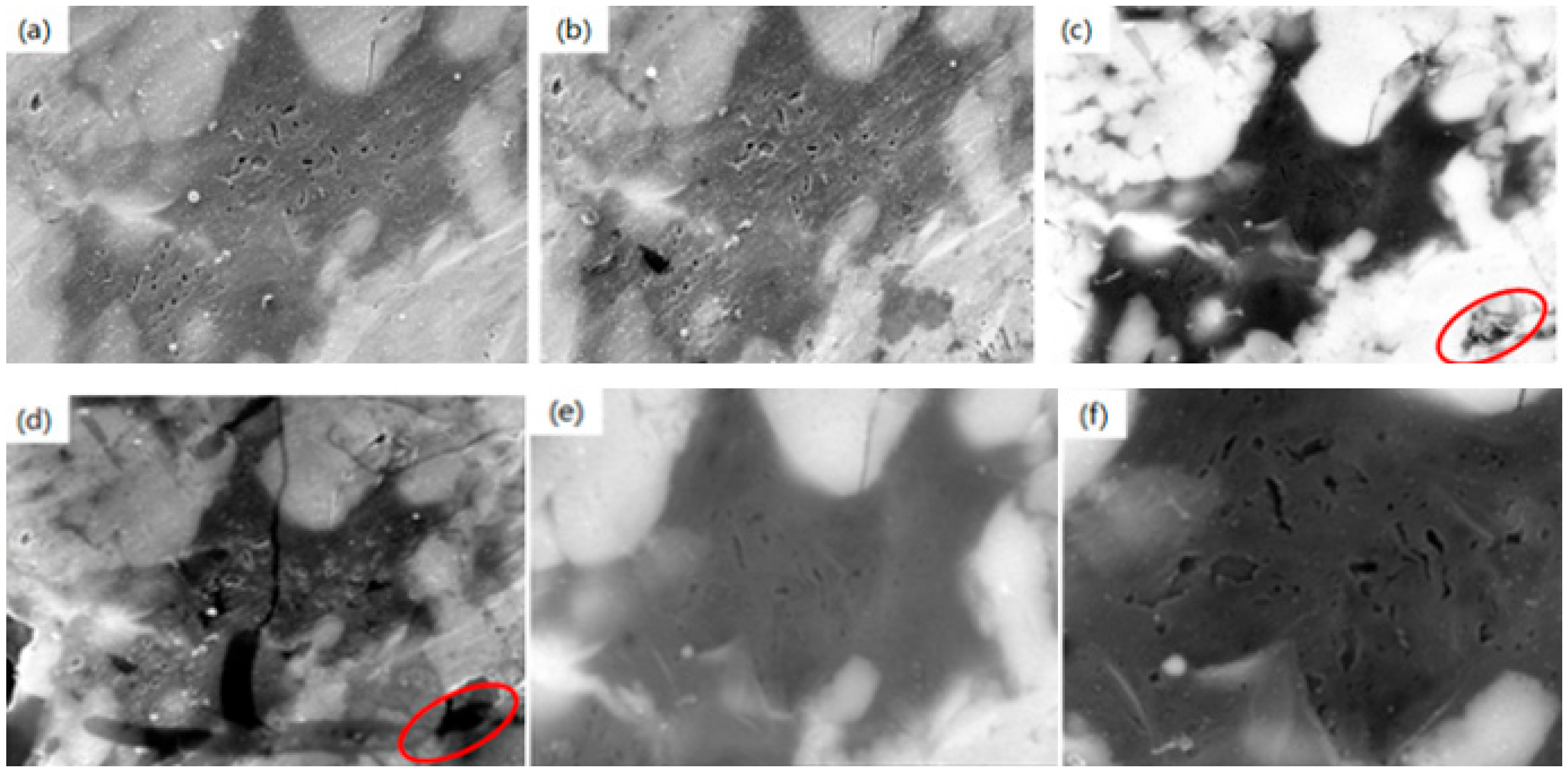 Processes 13 01265 g002 Processes 13 01265 g002