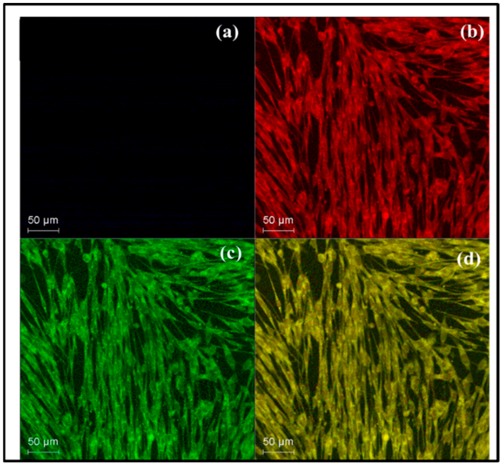Processes 13 01290 g010 Processes 13 01290 g010
