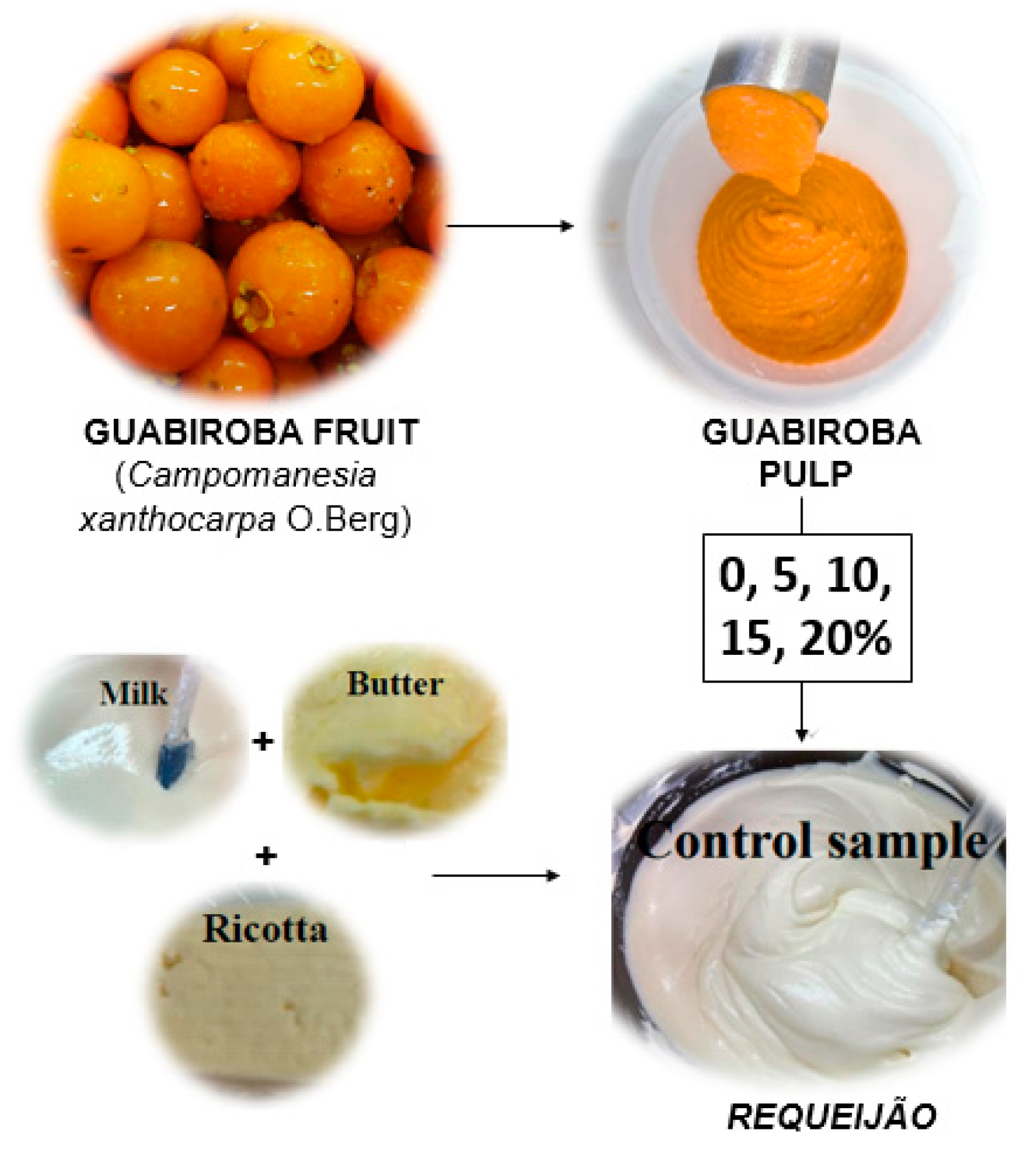 Processes 13 01322 g001