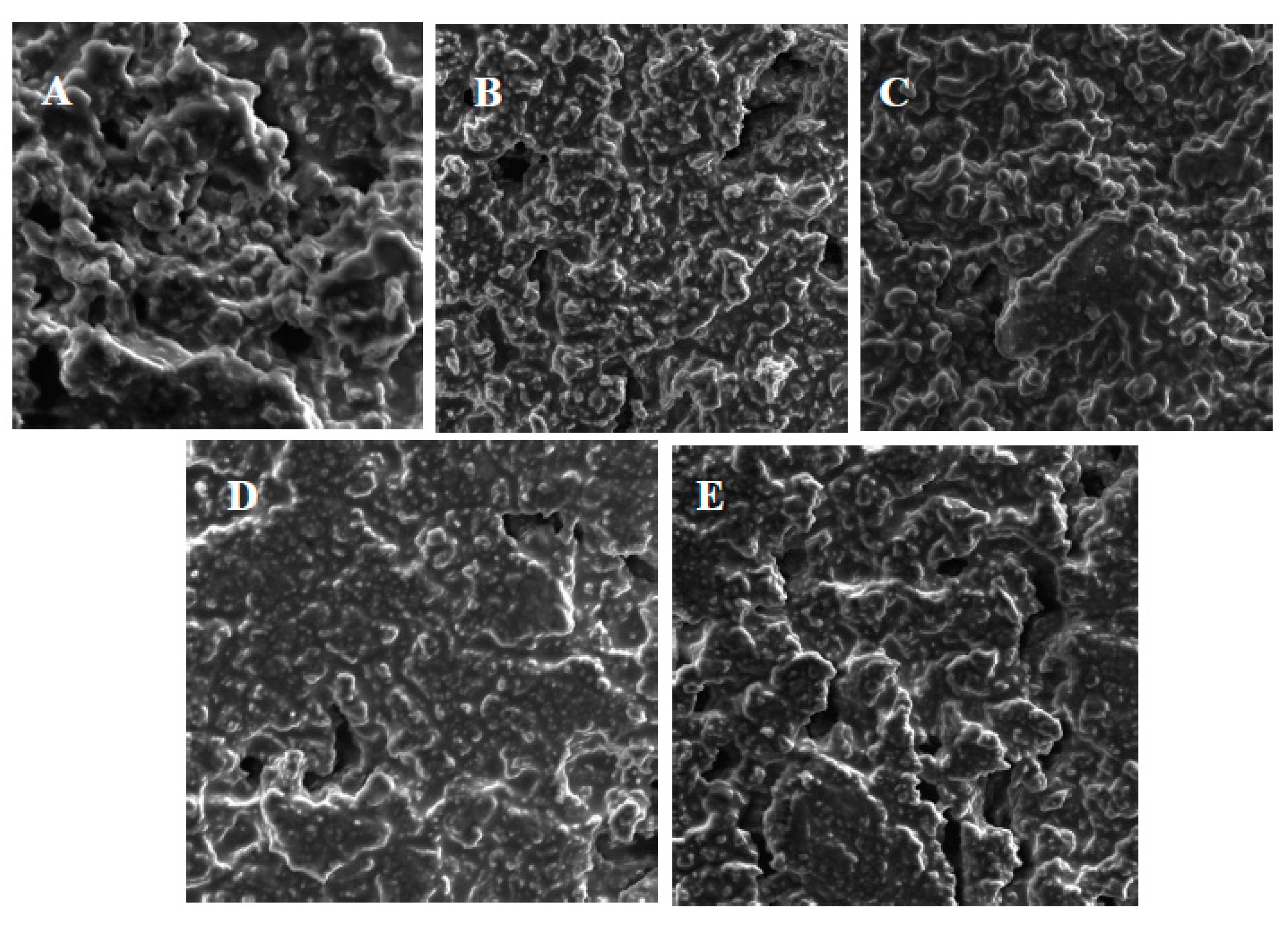 Processes 13 01322 g002