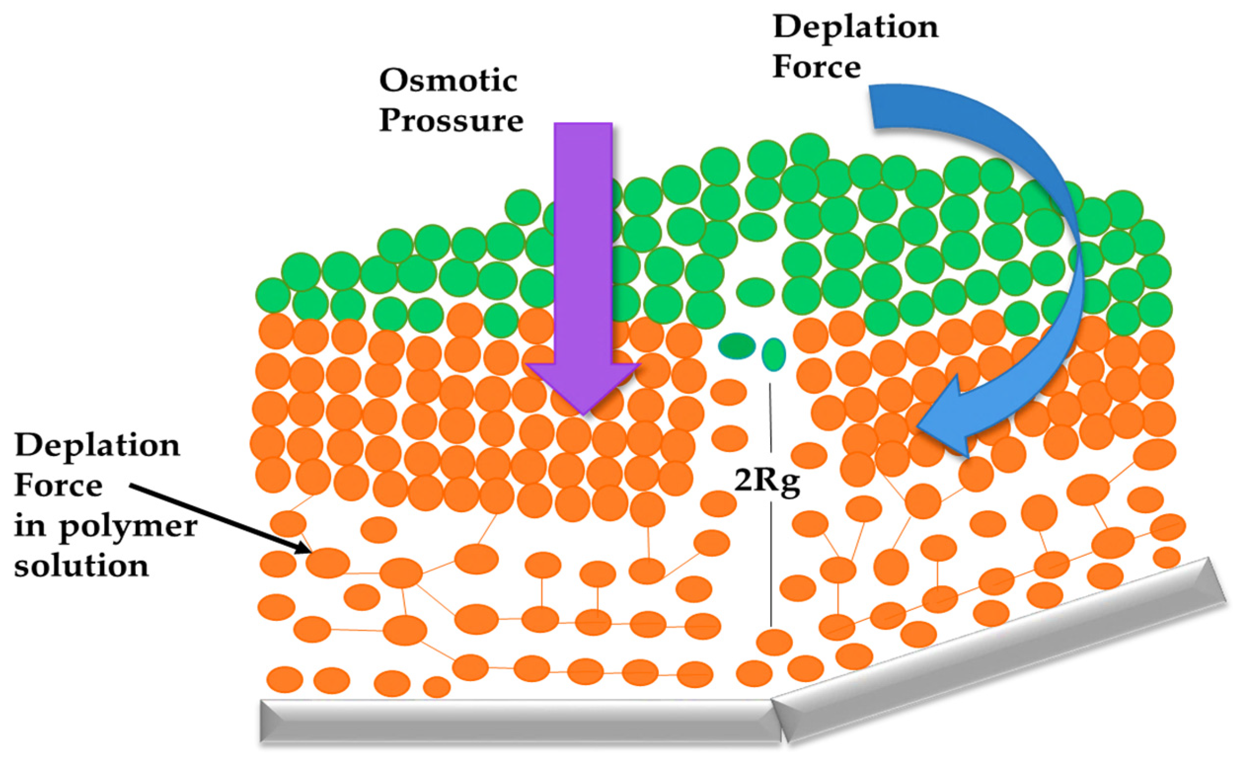 Processes 13 01325 g011