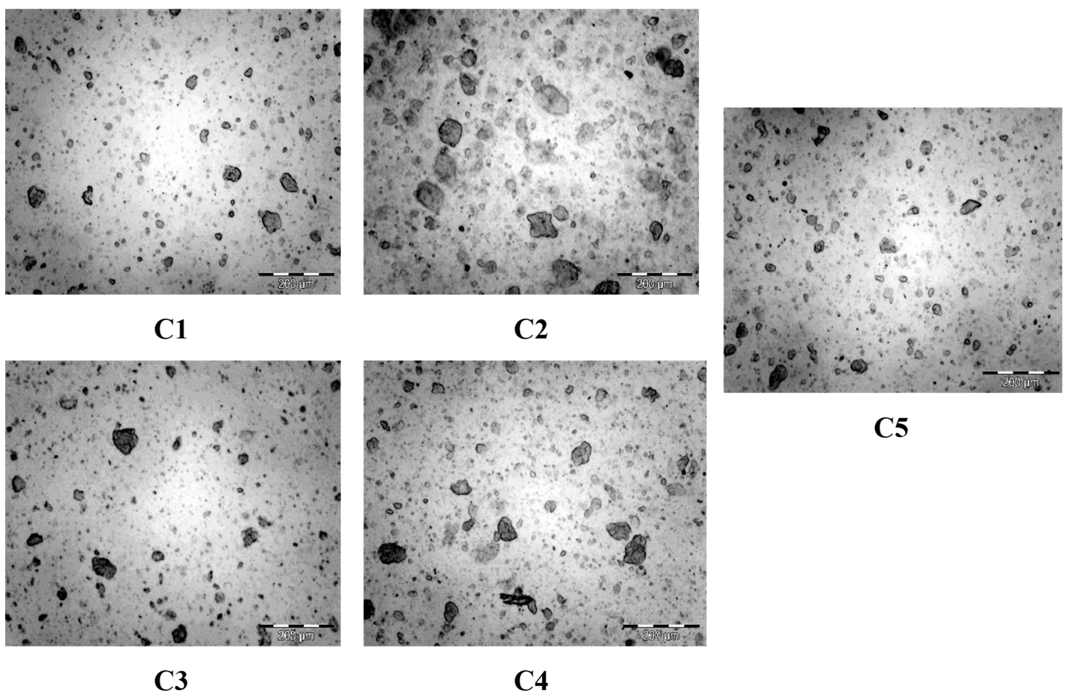 Processes 13 01332 g002