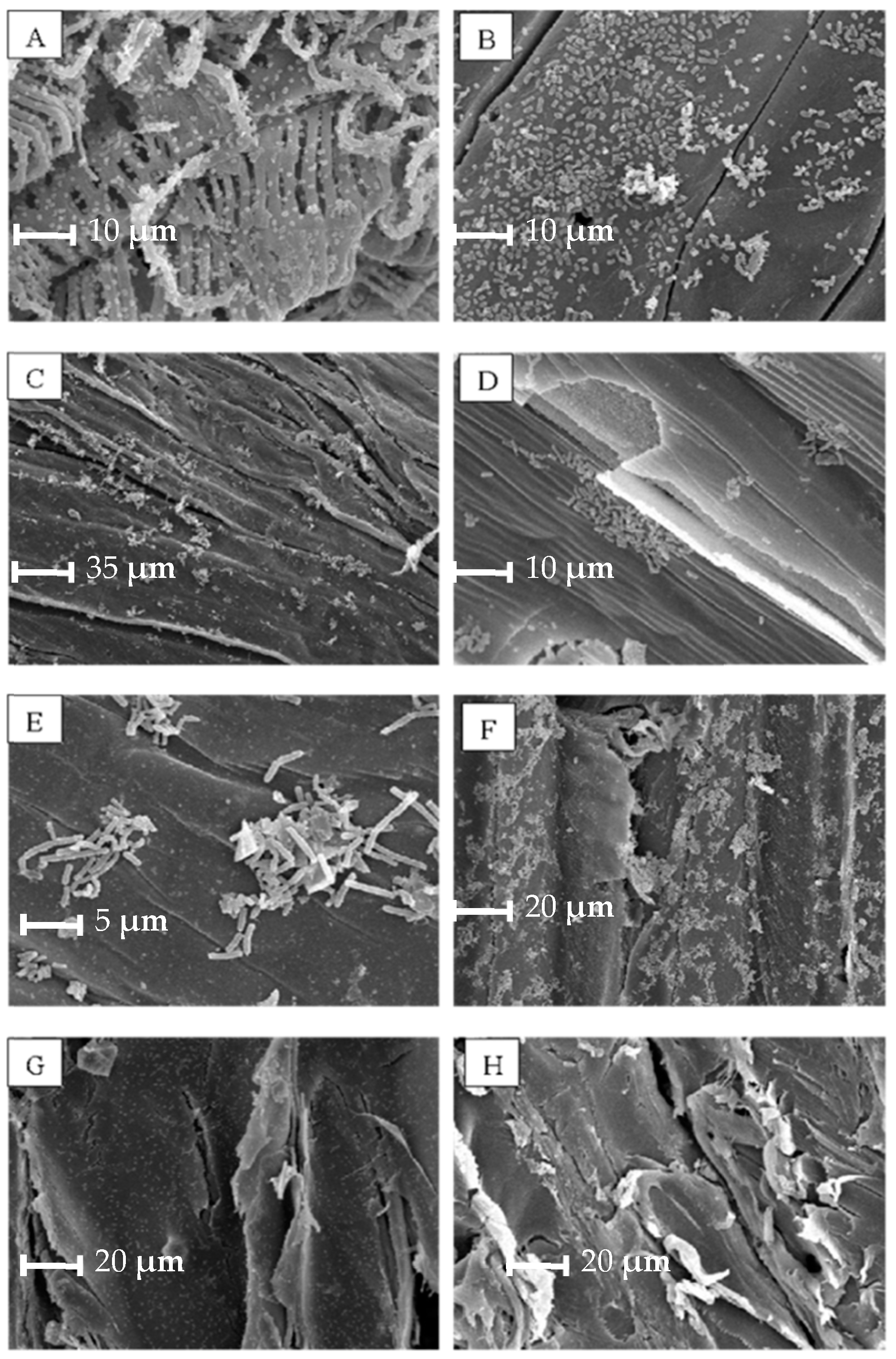 Processes 13 01337 g003