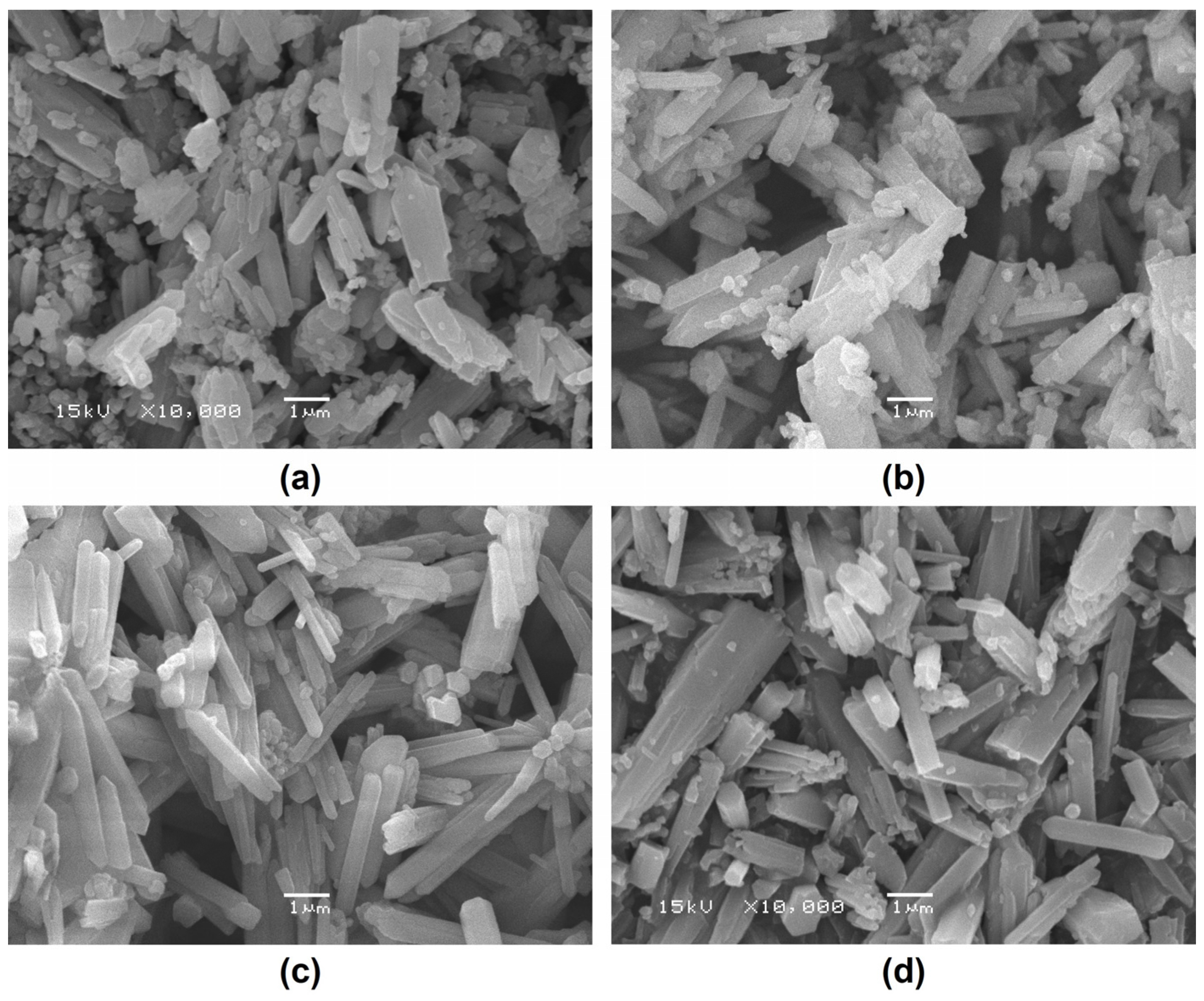 Processes 13 01370 g012