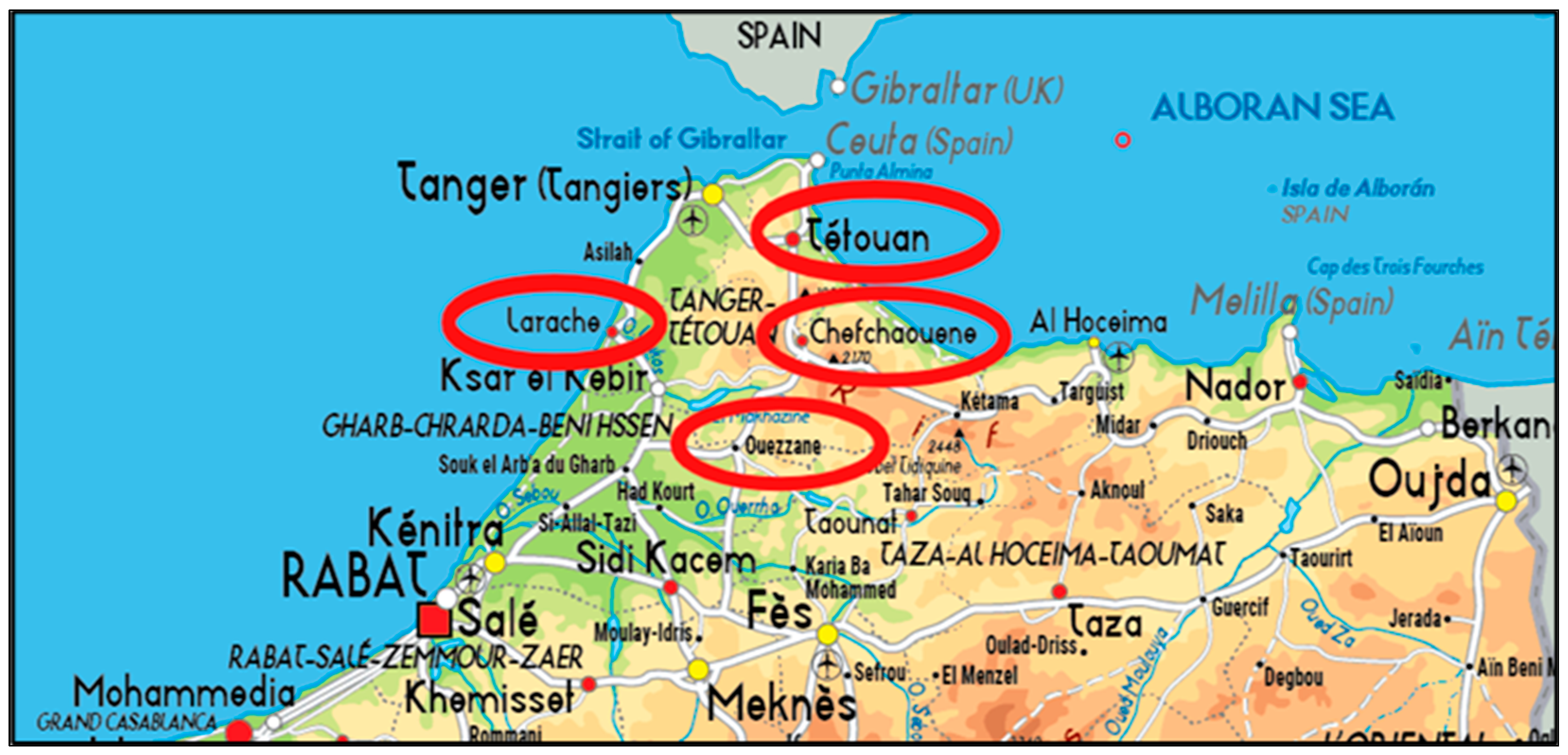 Processes 13 01399 g001